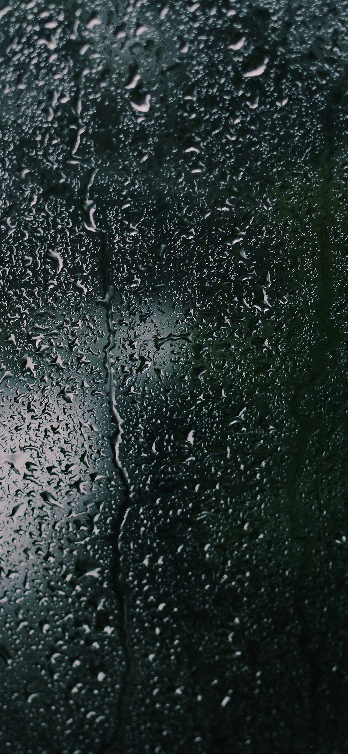 1130x2440 iPhone X wallpaper. nature rain window dark, Phone