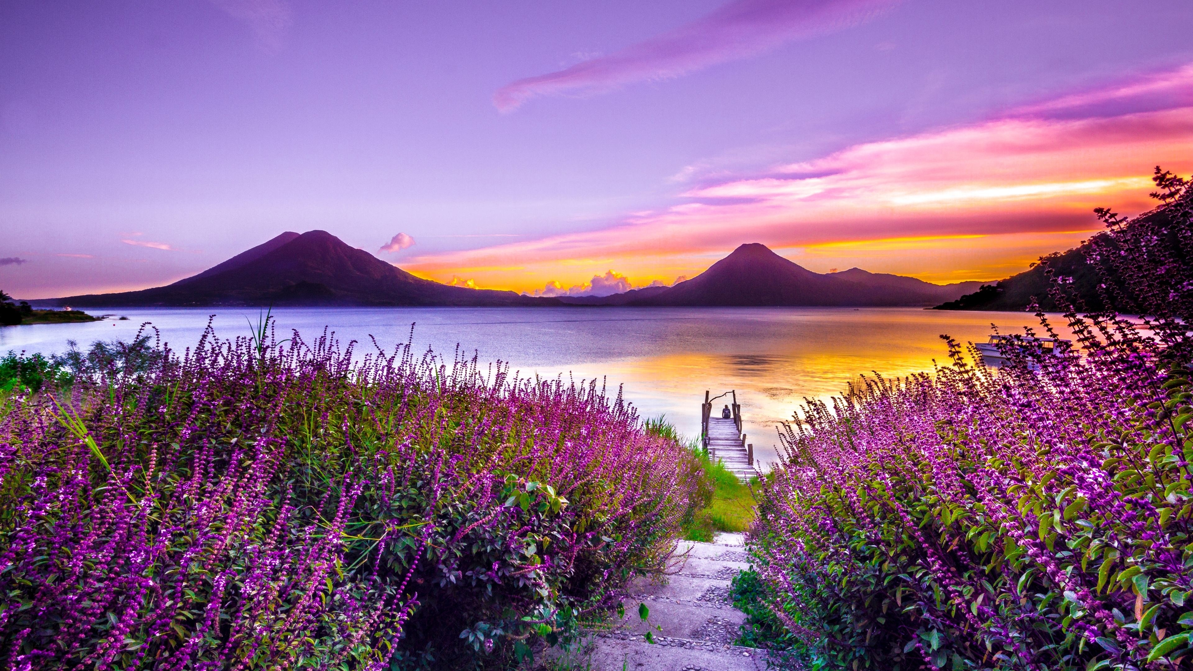 3840x2160 Wallpaper 4k Volcano Sunset Flower Purple Dreamy Landscape 4k 5k Wallpaper, Desktop