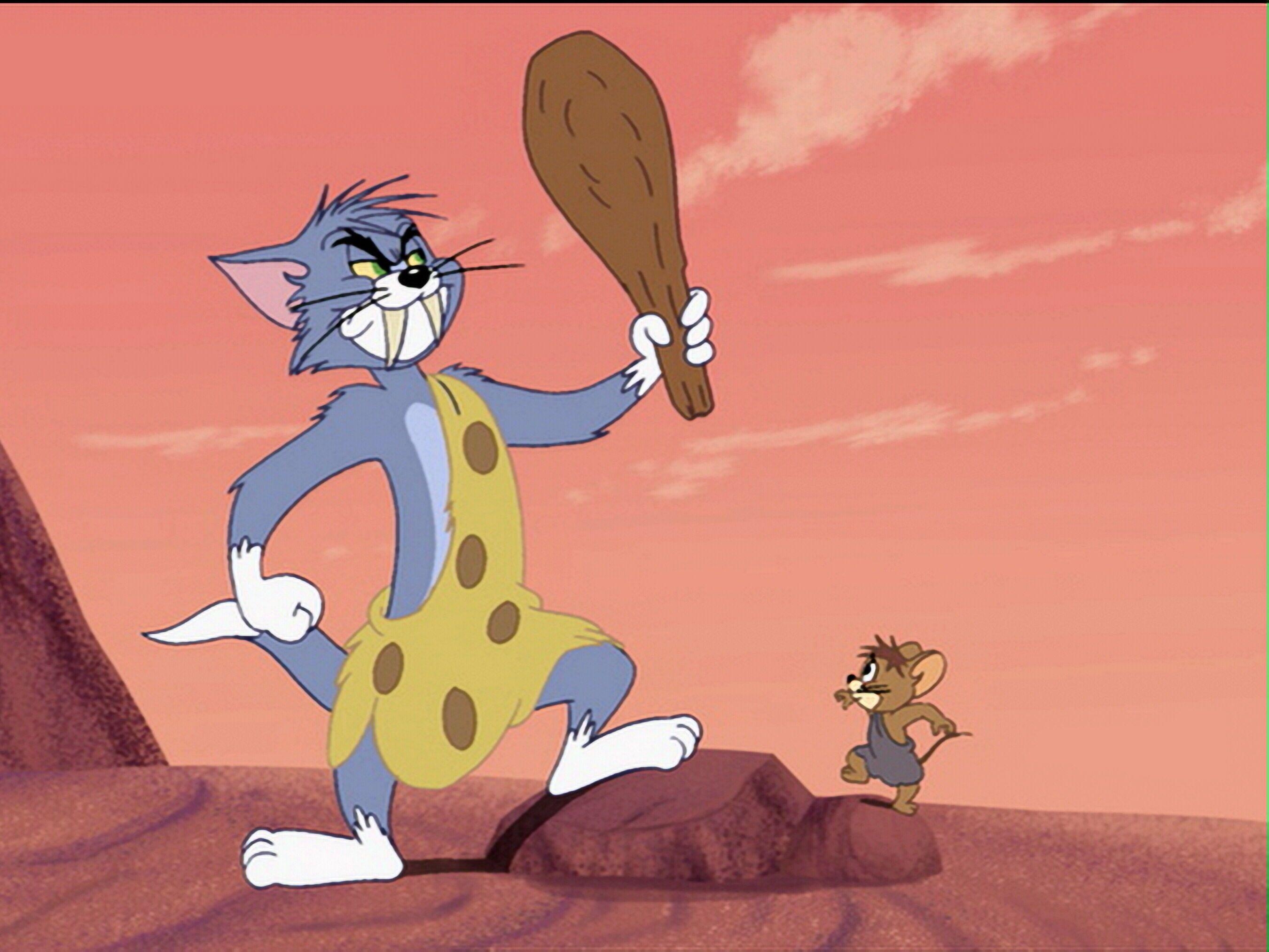 2700x2030 The Tom and Jerry Online - An Unofficial Site, WHAT HAS HAPPENED, Desktop