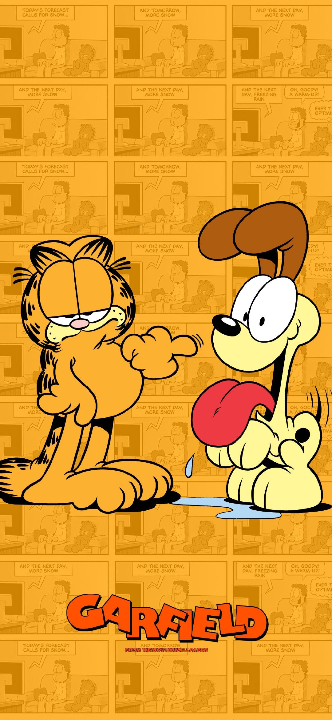 1080x2340 Garfield Wallpaper, Phone