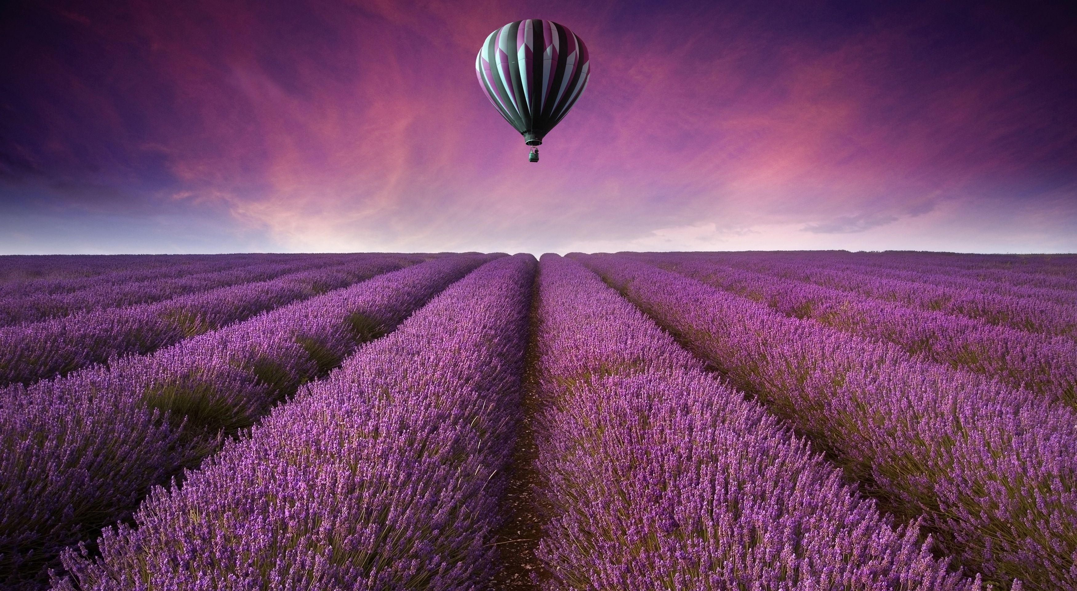 3500x1920 Lavender HD Wallpaper and Background Image, Desktop