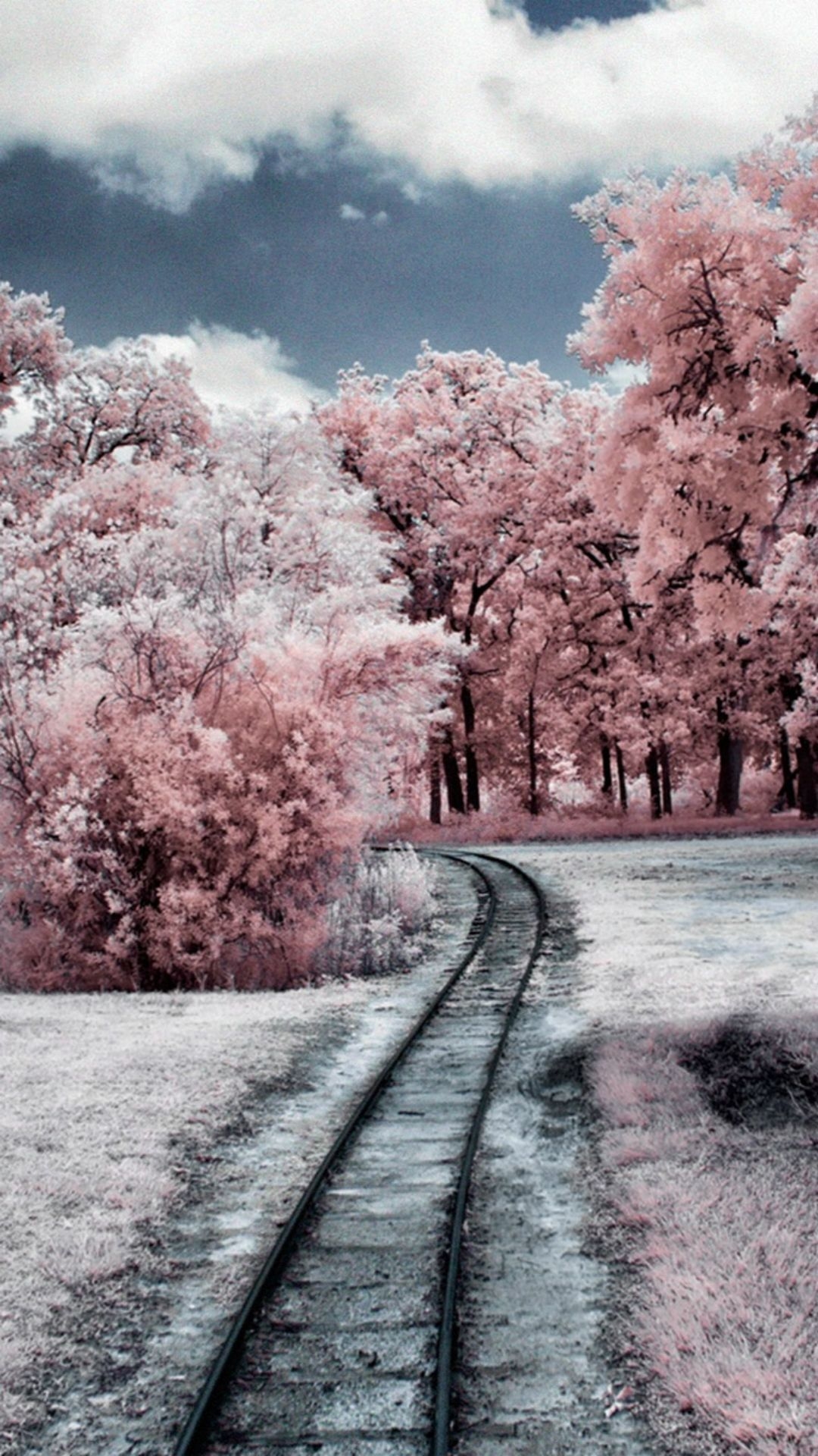 1080x1920 Pink Winter Wallpaper Free Pink Winter Background, Phone