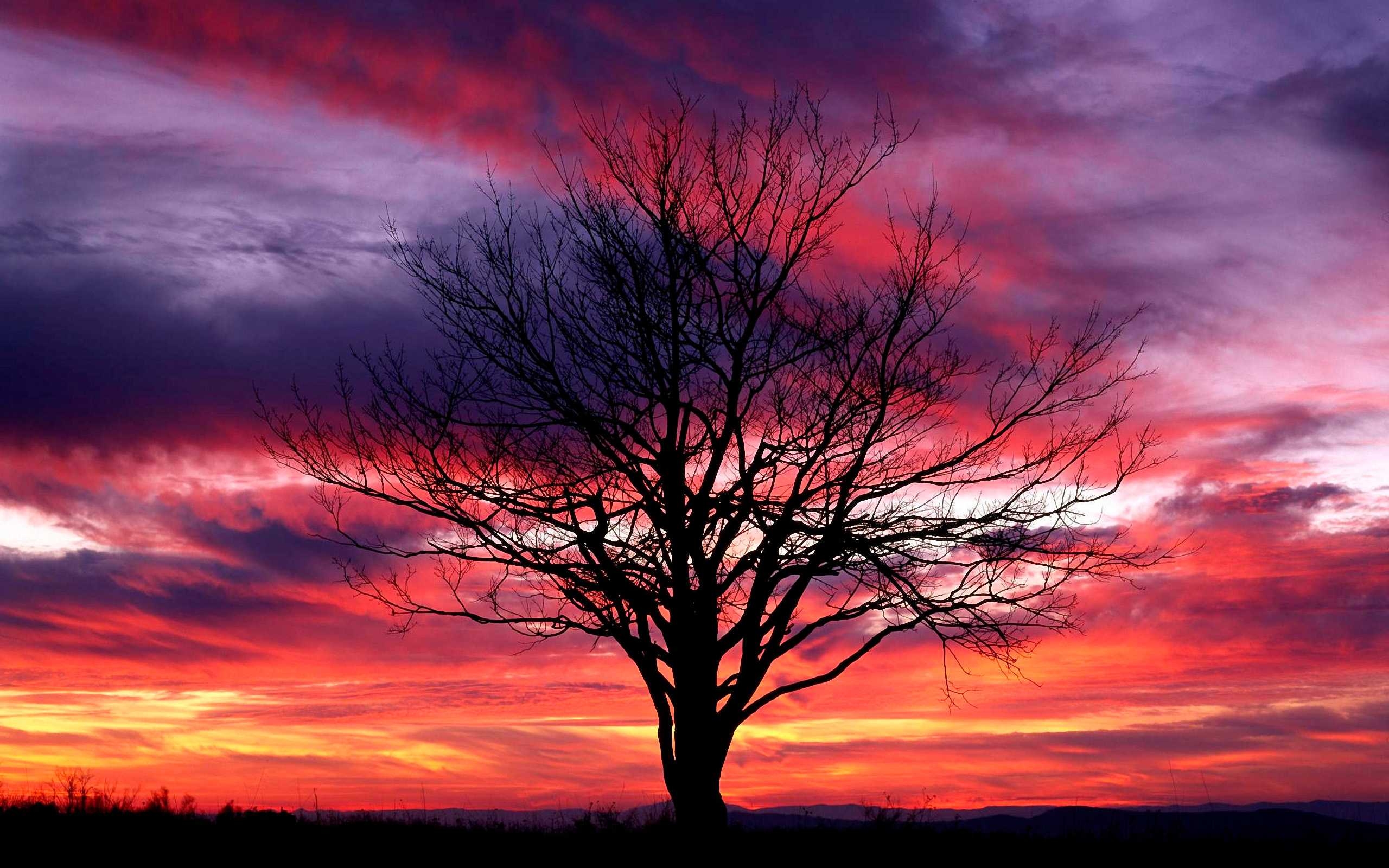 2560x1600 Nature Wallpaper Free Colorful Sky, Shenandoah, Desktop