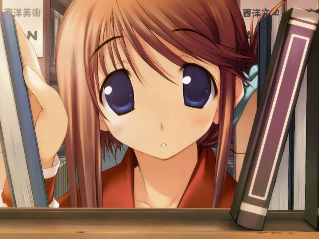 1280x960 Download wallpaper  anime, girl, shelf, books, study standard 4:3 HD background, Desktop