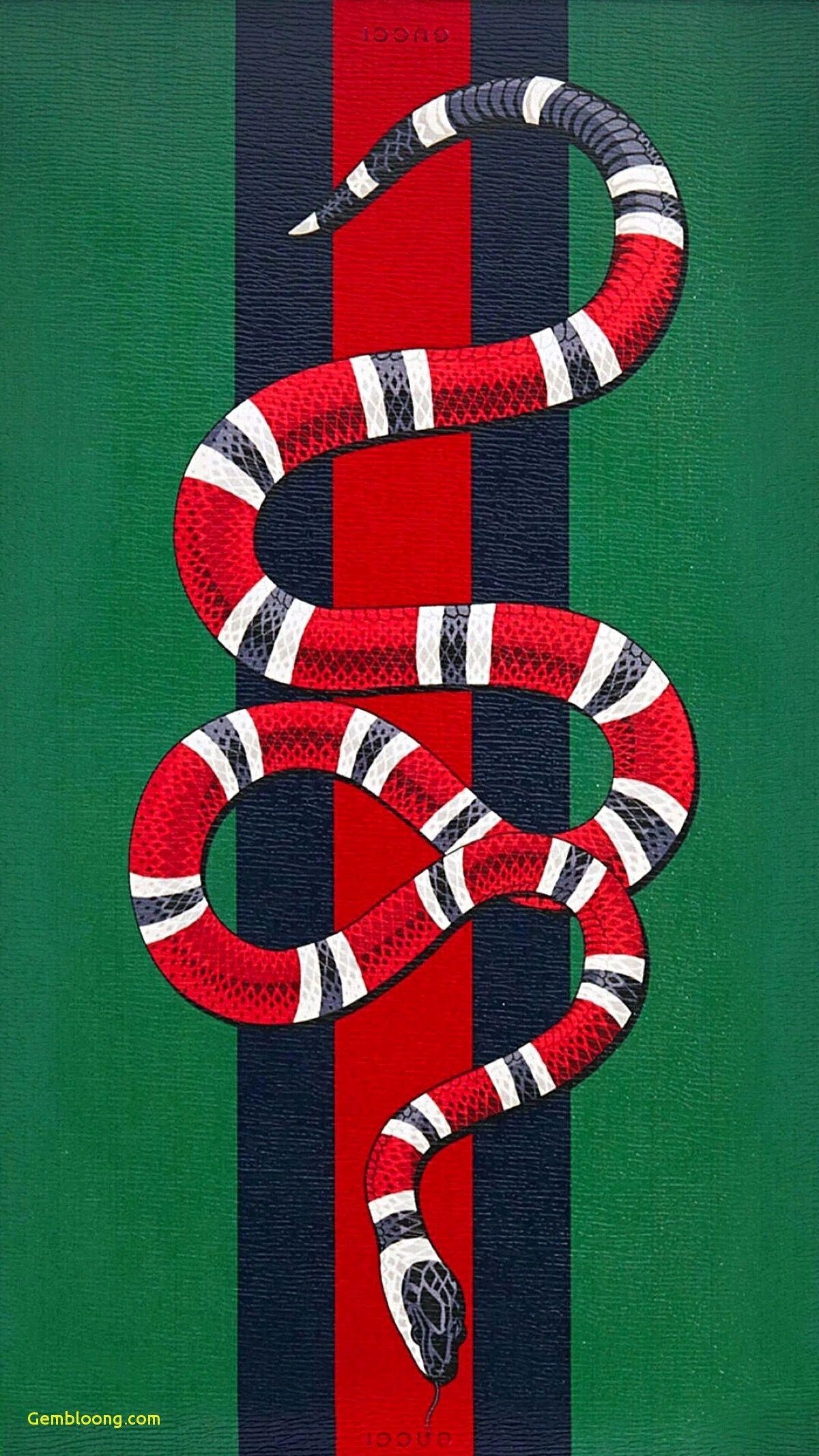 1200x2140 iPhone Wallpaper. Milksnake, Candy cane, Kingsnake, Scaled, Phone