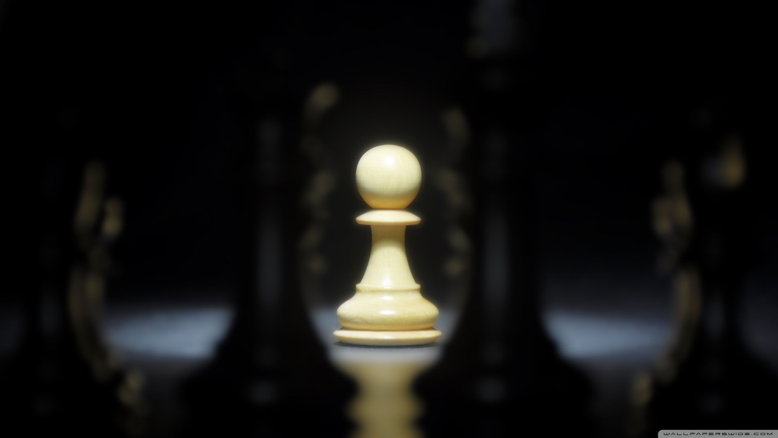 2560x1440 Chess Wallpaper, Desktop