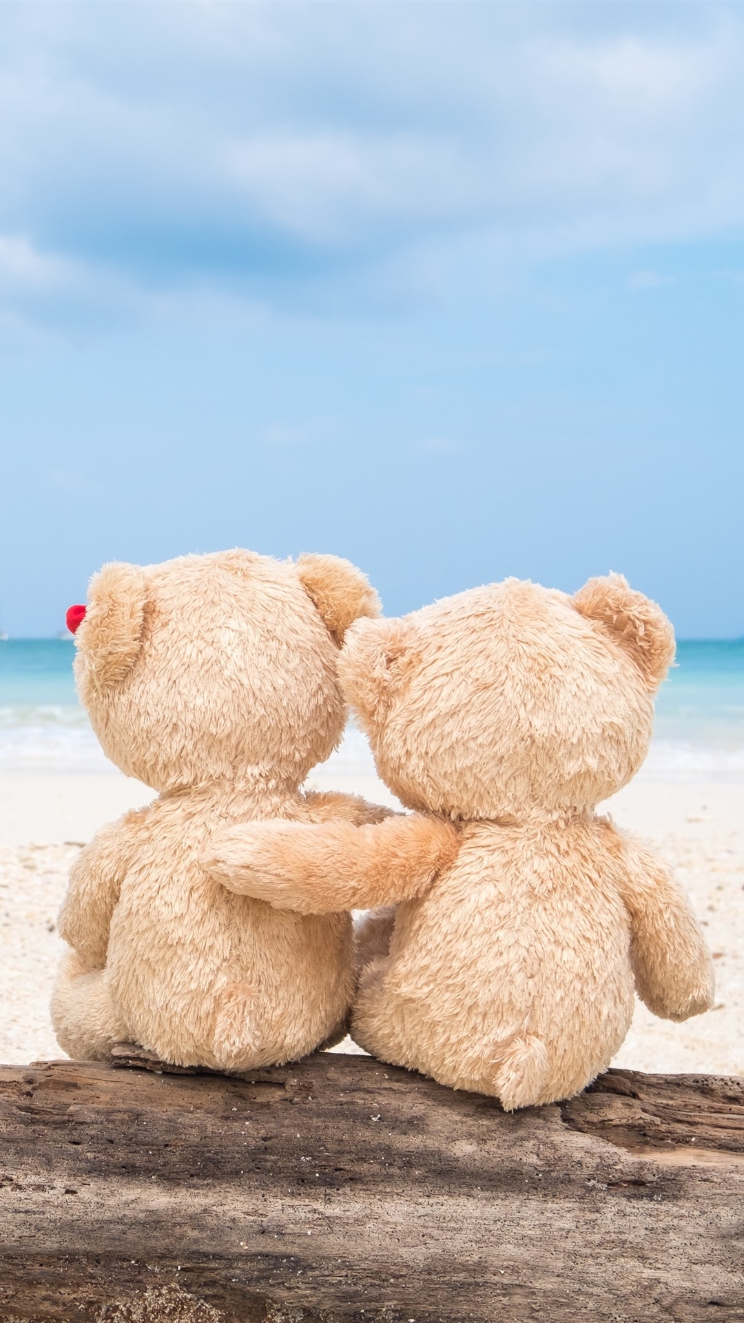 1080x1920 Teddy Bear, Back View, Beach, Sea 1242x2688 IPhone 11 Pro XS Max Wallpaper, Background, Picture, Image, Phone