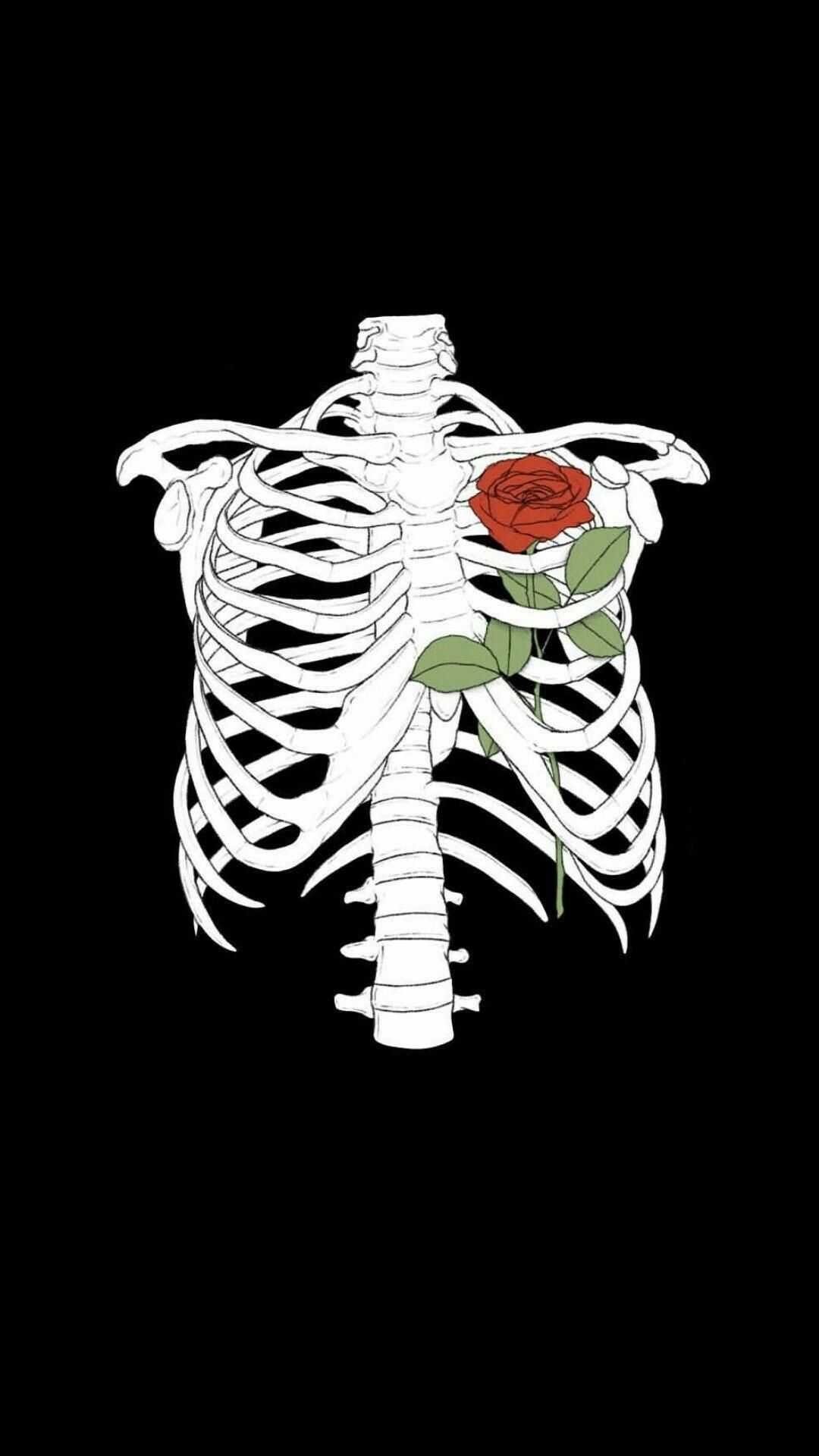 1080x1920 Skeleton Aesthetic Wallpaper, Phone