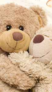 170x300 Teddy Bear Live Wallpaper for Android, Phone