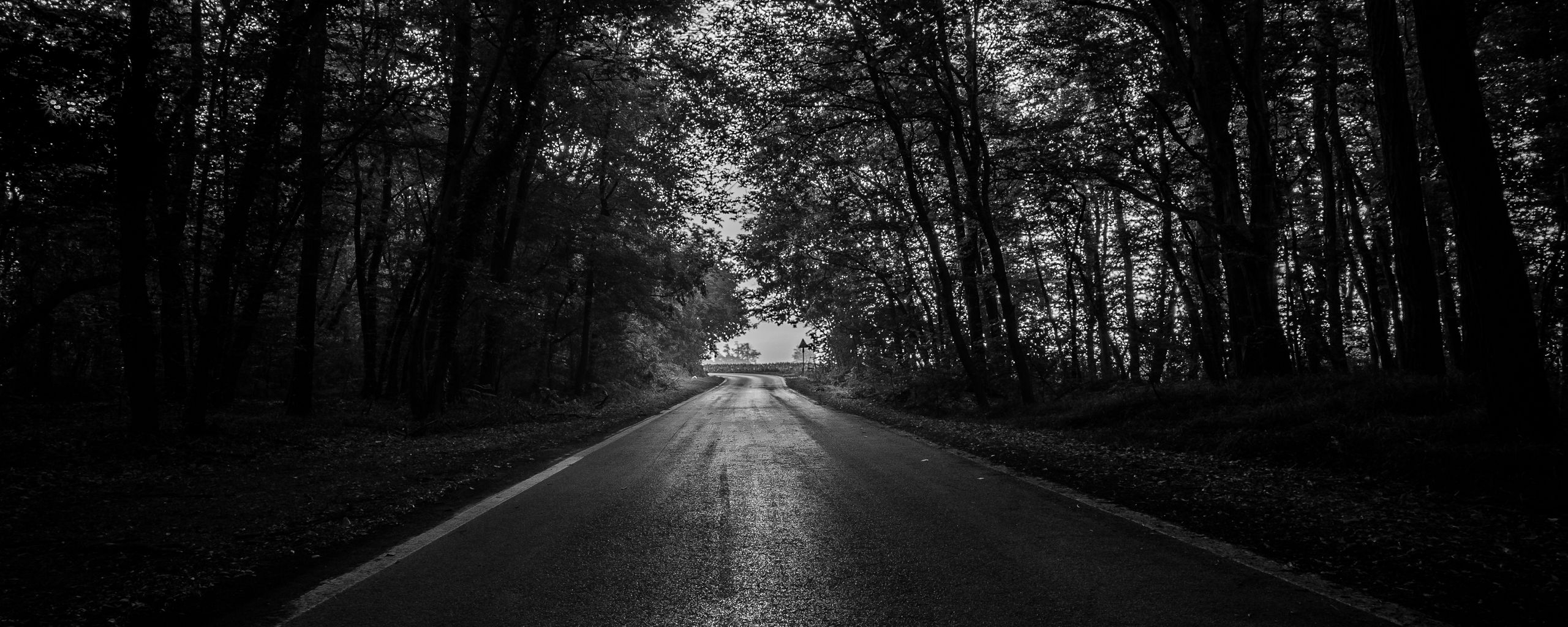 2560x1030 Download wallpaper  road, trees, bw, dark, forest ultrawide monitor HD background, Dual Screen