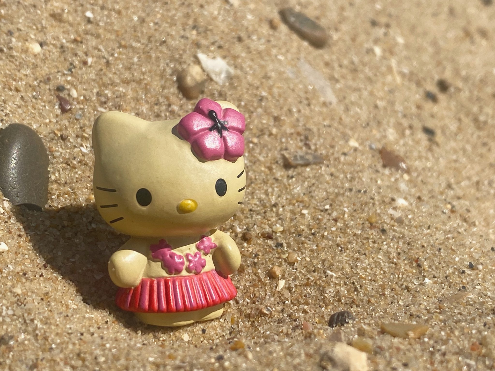 2050x1540 sanrio daily ✨ kitty at the beach, Desktop