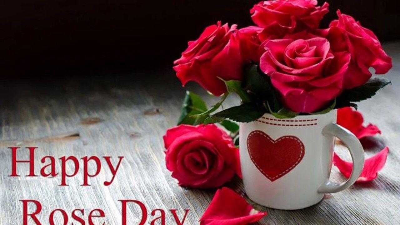 1280x720 Happy Rose Day 2017 Image Wallpaper video Download, Desktop