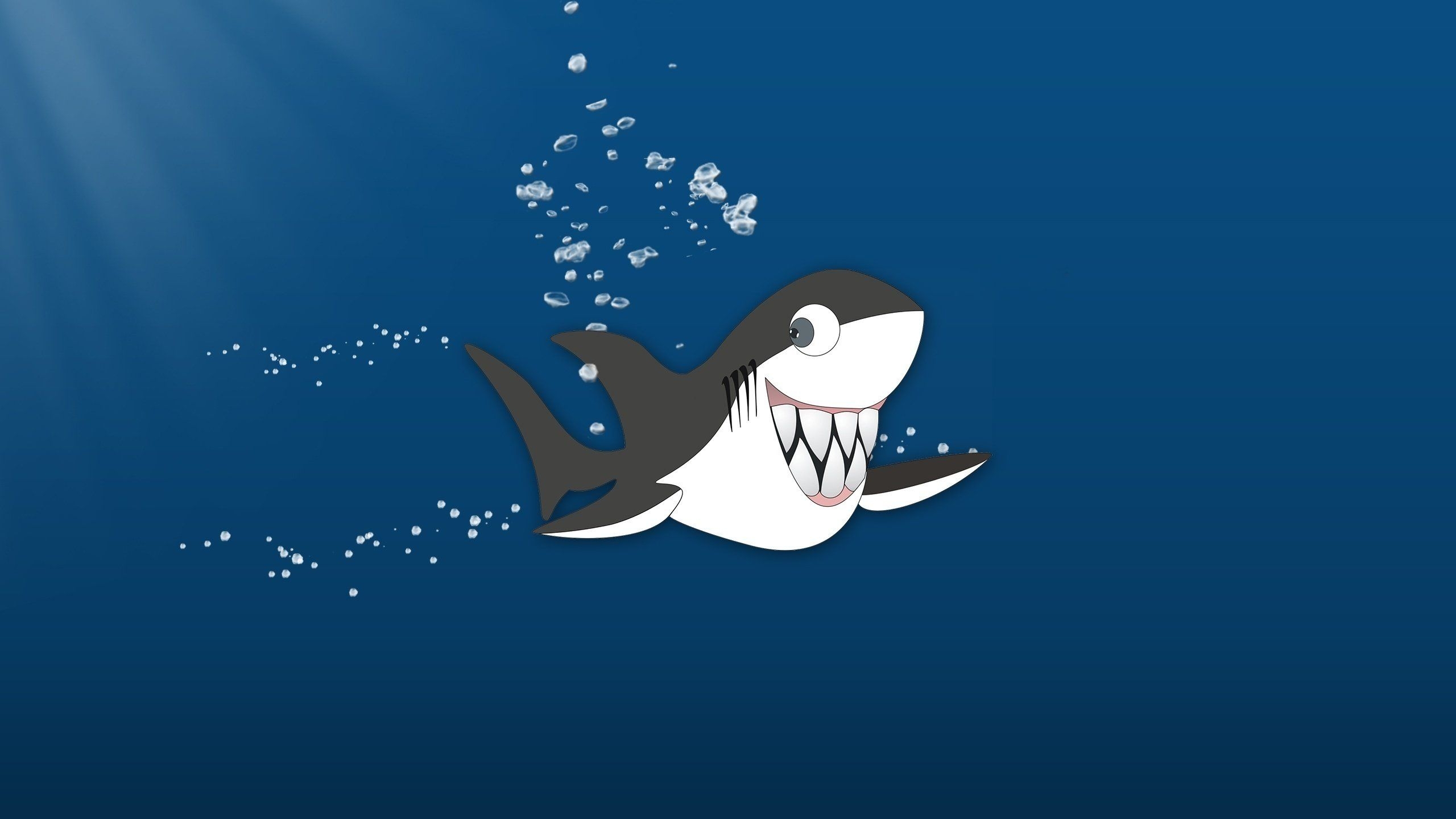 2560x1440 Cute Shark High Definition Wallpaper 20020, Desktop