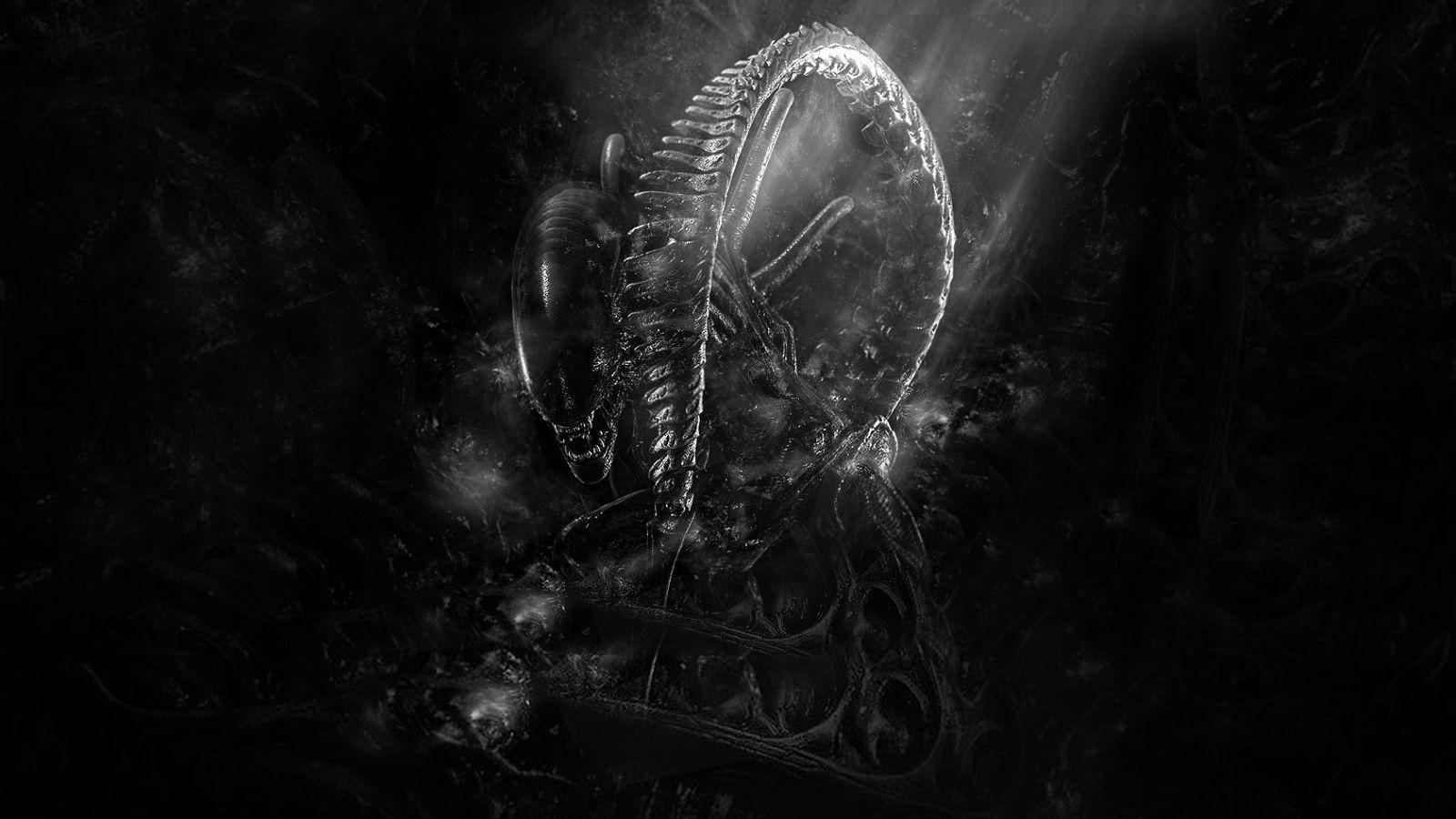 1600x900 Xenomorph Wallpaper, Desktop