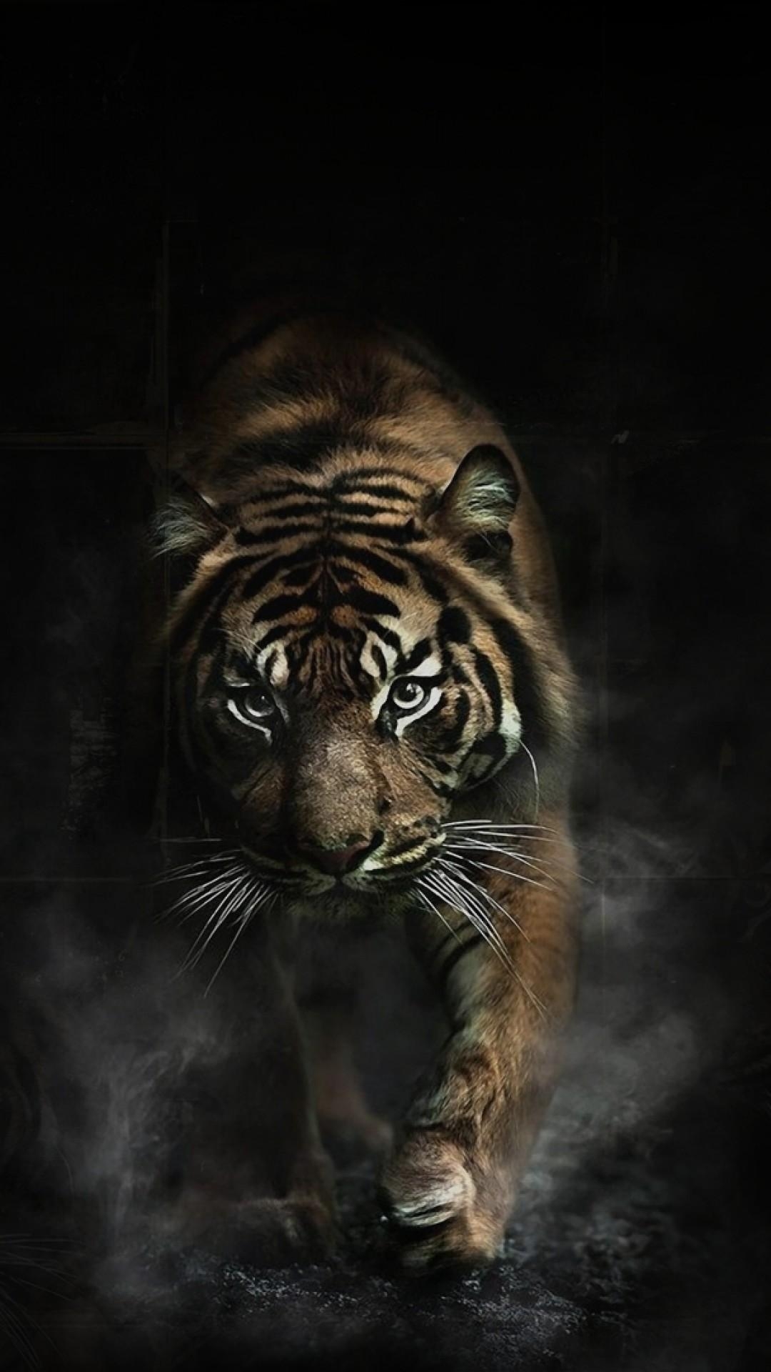 1080x1920 Tiger iPhone Wallpaper Free Tiger iPhone Background, Phone