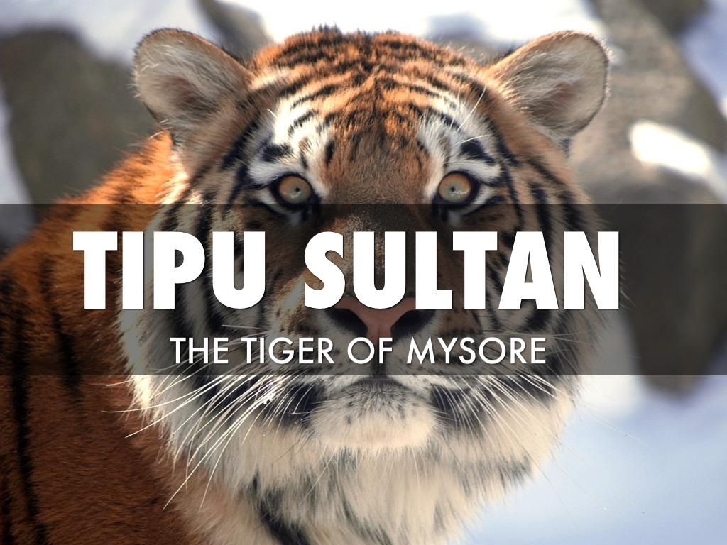 1030x770 Tipu Sultan, Desktop