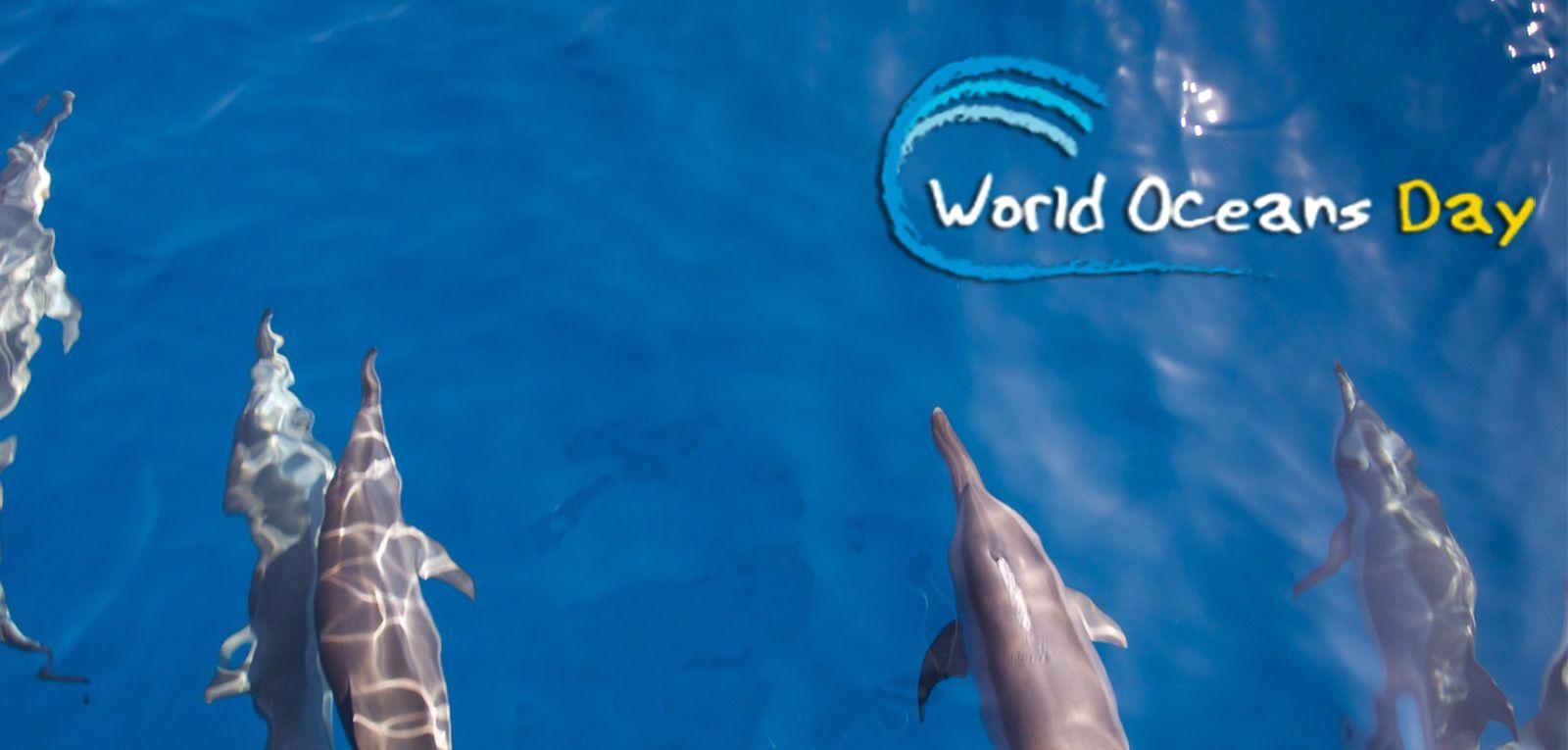 1600x770 Best World Ocean Day Wish Picture And Image, Dual Screen