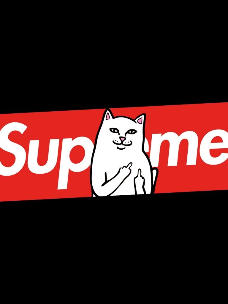 770x1030 Free download Supreme Cat 4K HD Desktop Wallpaper for 4K Ultra HD TV Dual [768x1280] for your Desktop, Mobile & Tablet. Explore Supreme Wallpaper iPhone 4K. Supreme Wallpaper iPhone, Phone