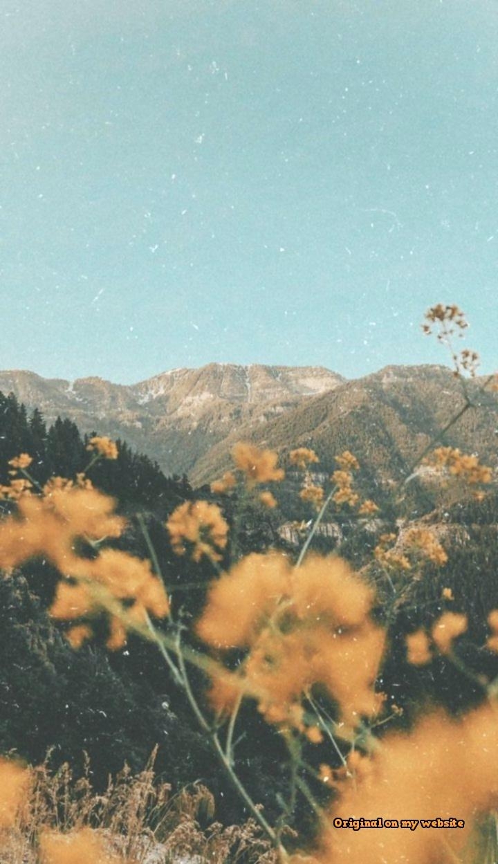 720x1250 iPhone Wallpaper Vintage Aesthetics Aesthetic, Phone