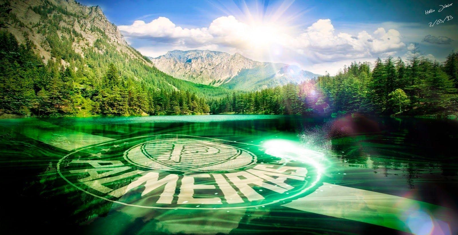 1600x820 Palmeiras HD Wallpaper HD Wallpaper For You. HD, Desktop