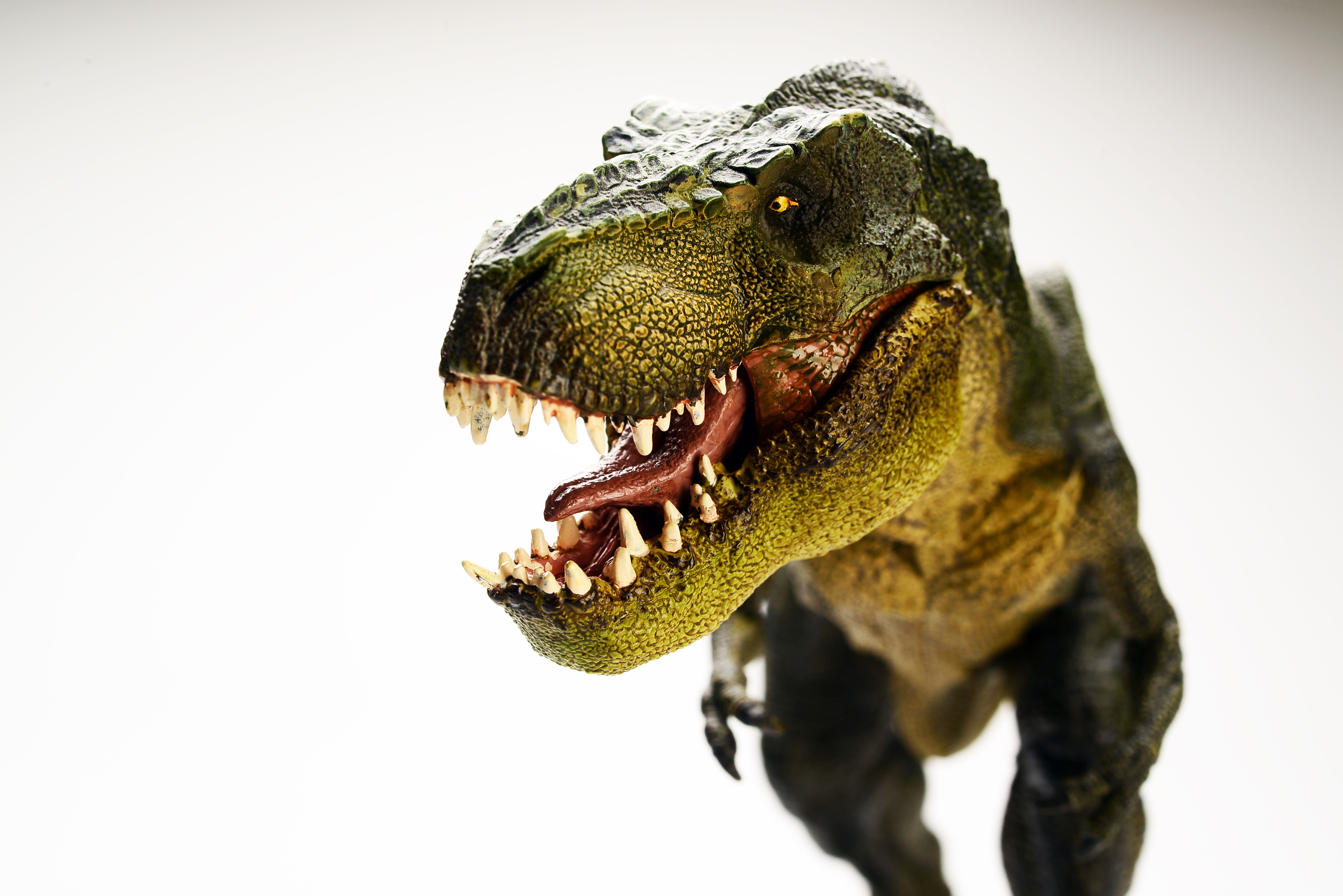 5910x3950 Wallpaper Dinosaur, Tyrannosaurus, T Rex, 5K, Animals, Desktop