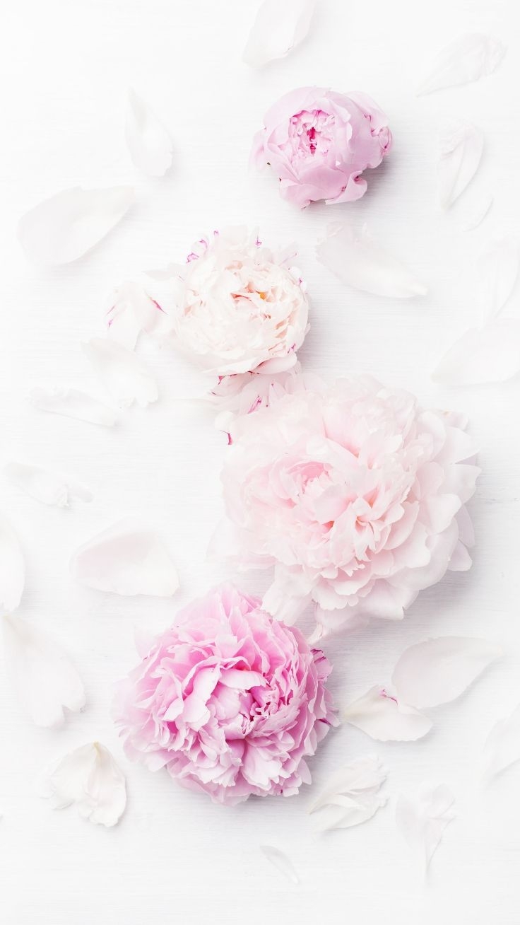 740x1310 Gorgeous Floral iPhone Xs Wallpaper, Phone