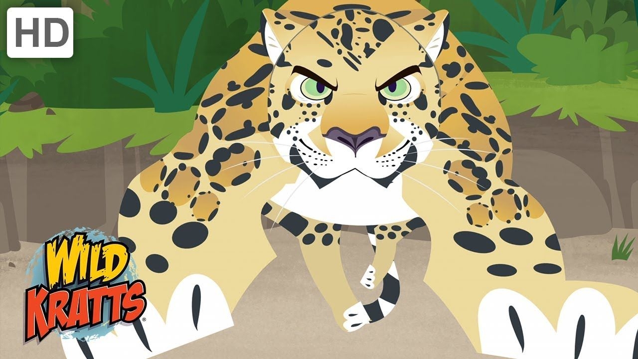 1280x720 Wild Kratts Beautiful Animals, Desktop