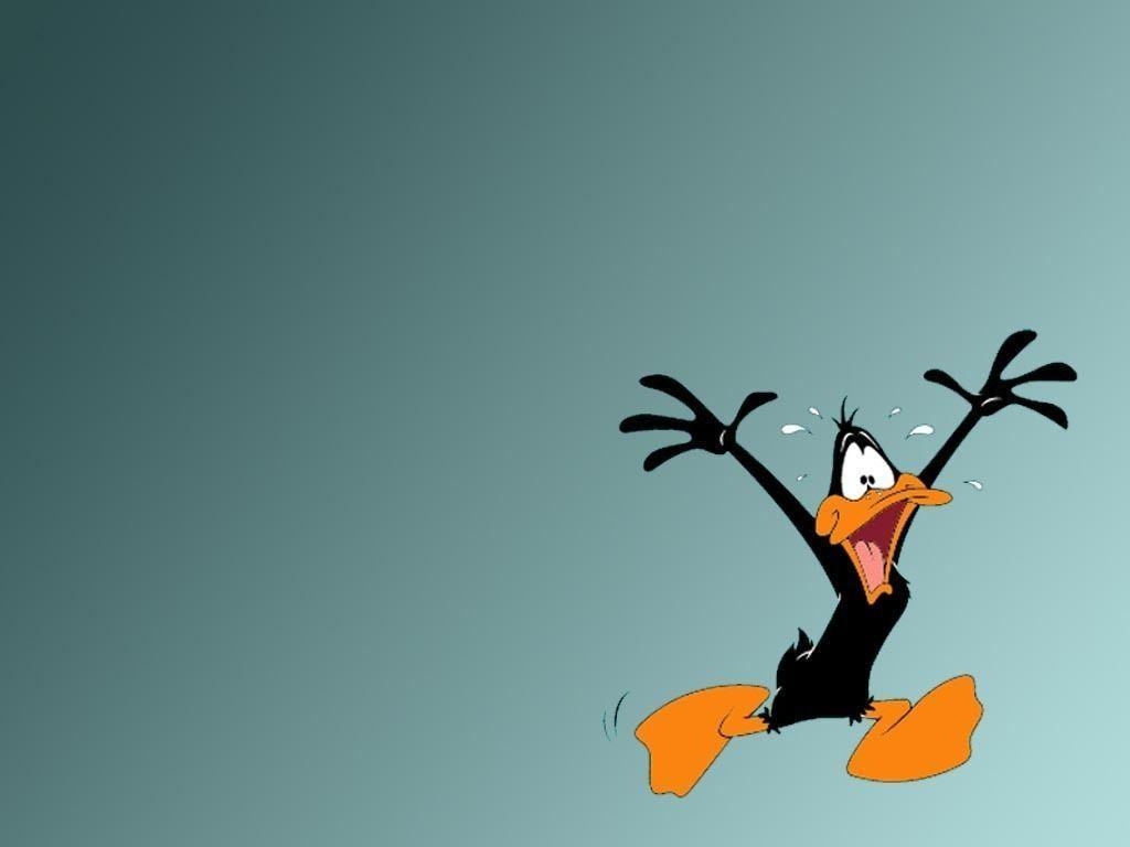 1030x770 Daffy Duck image Daffy Duck HD wallpaper and background photo, Desktop