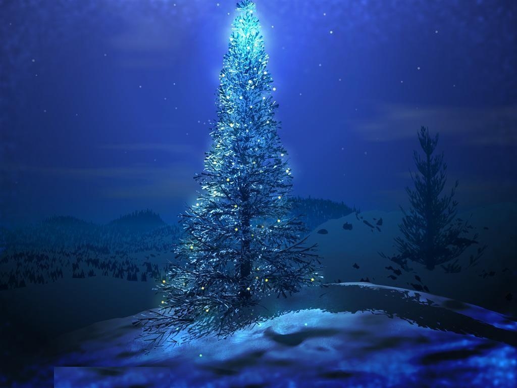 1030x770 Christmas Tree HD Wallpaper 6. Christmas Tree HD Wallpaper, Desktop