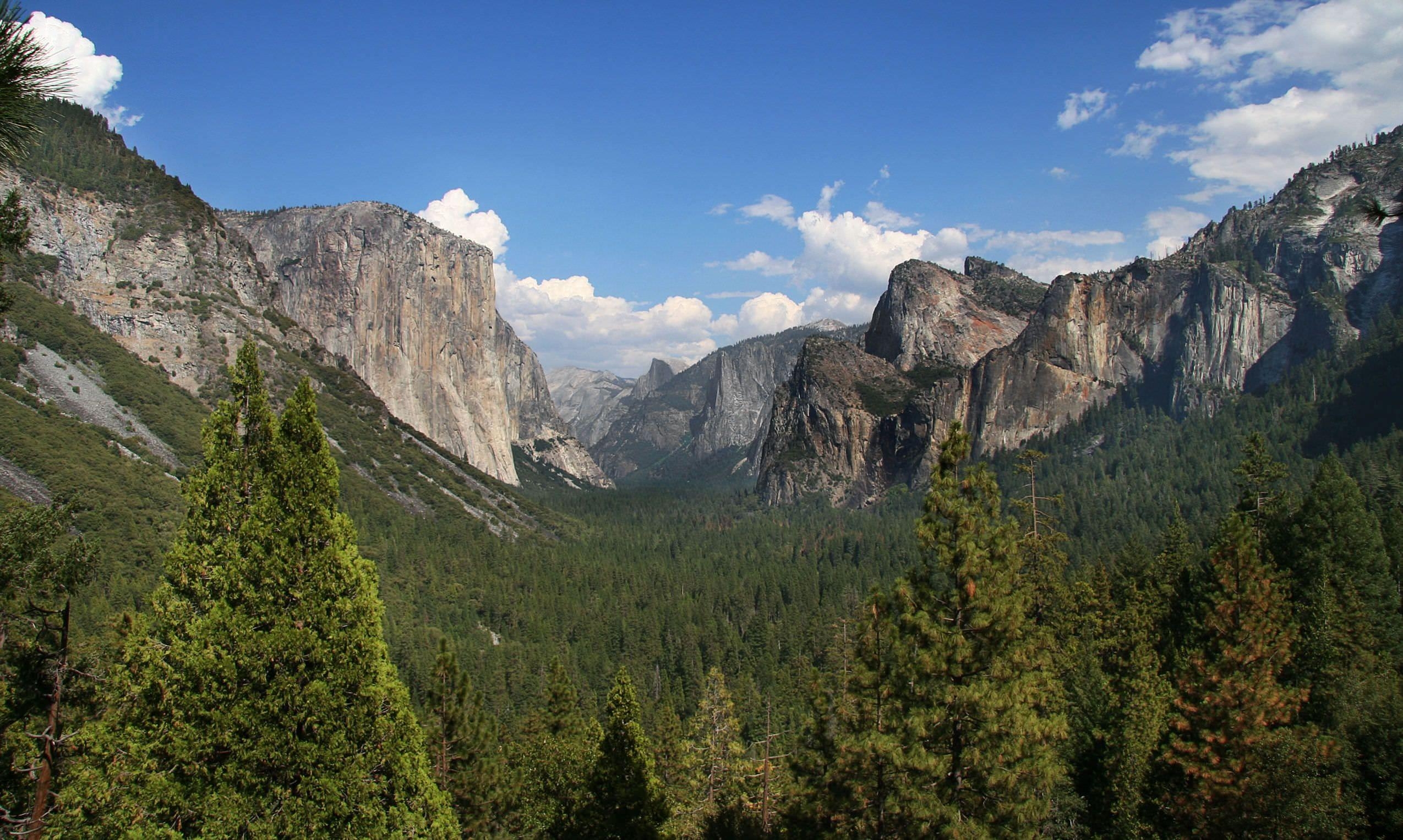 2550x1530 Sequoia National Park Wallpaper, Top Ranked Sequoia National, Desktop