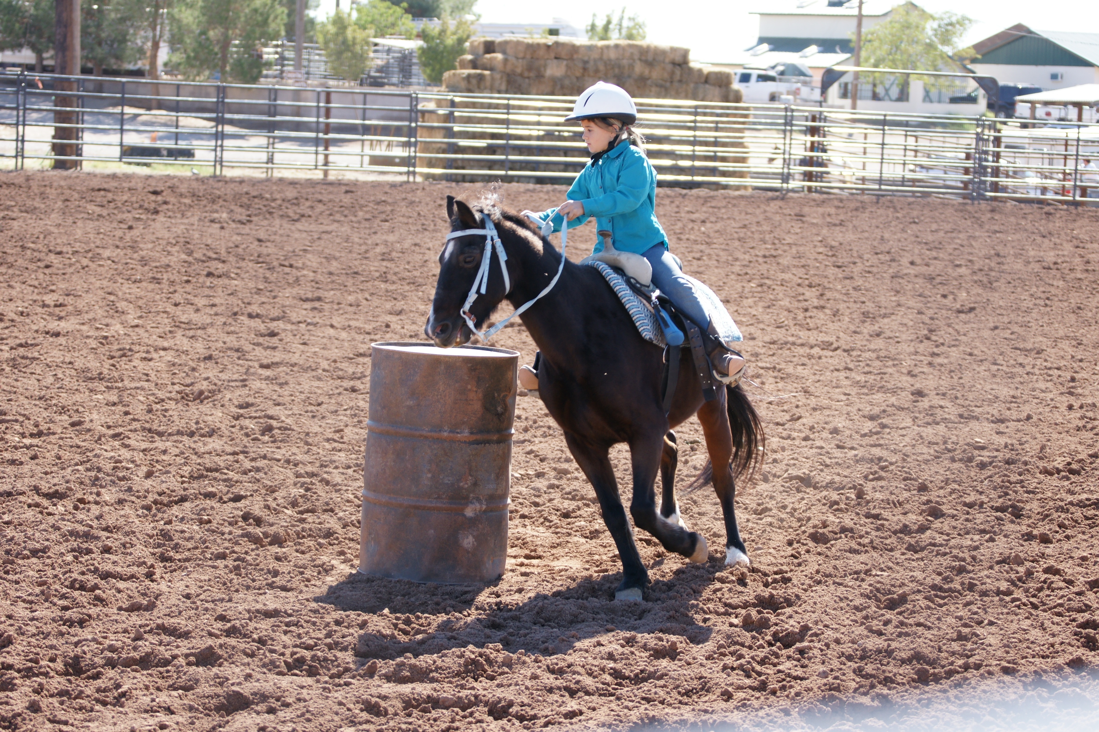 4280x2850 Free download Go Back Image For Barrel Racing Wallpaper [] for your Desktop, Mobile & Tablet. Explore Barrel Racing Wallpaper. Wine Barrel Wallpaper, Desktop