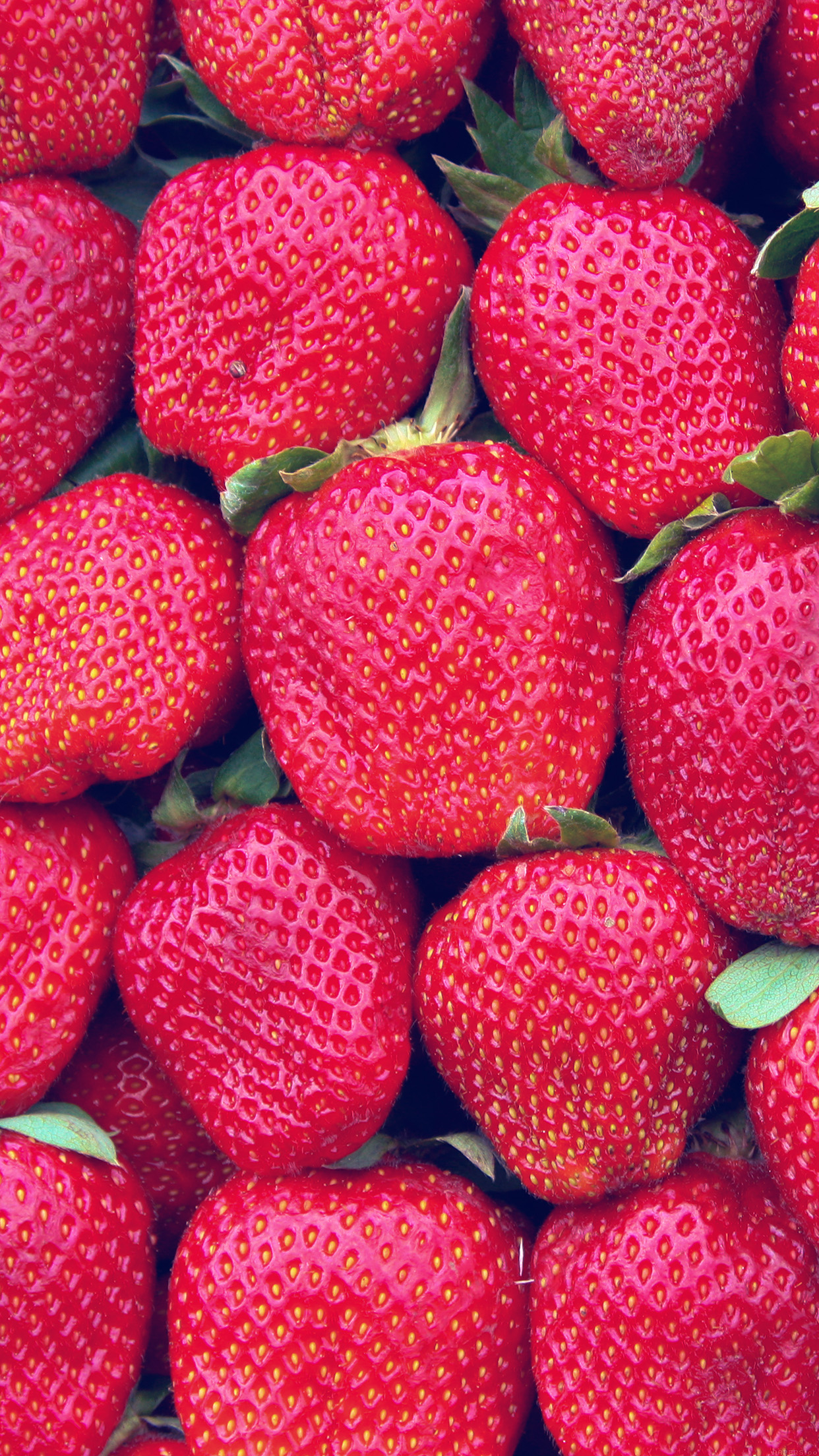 1250x2210 Strawberry Spring Fruit Pattern, Phone