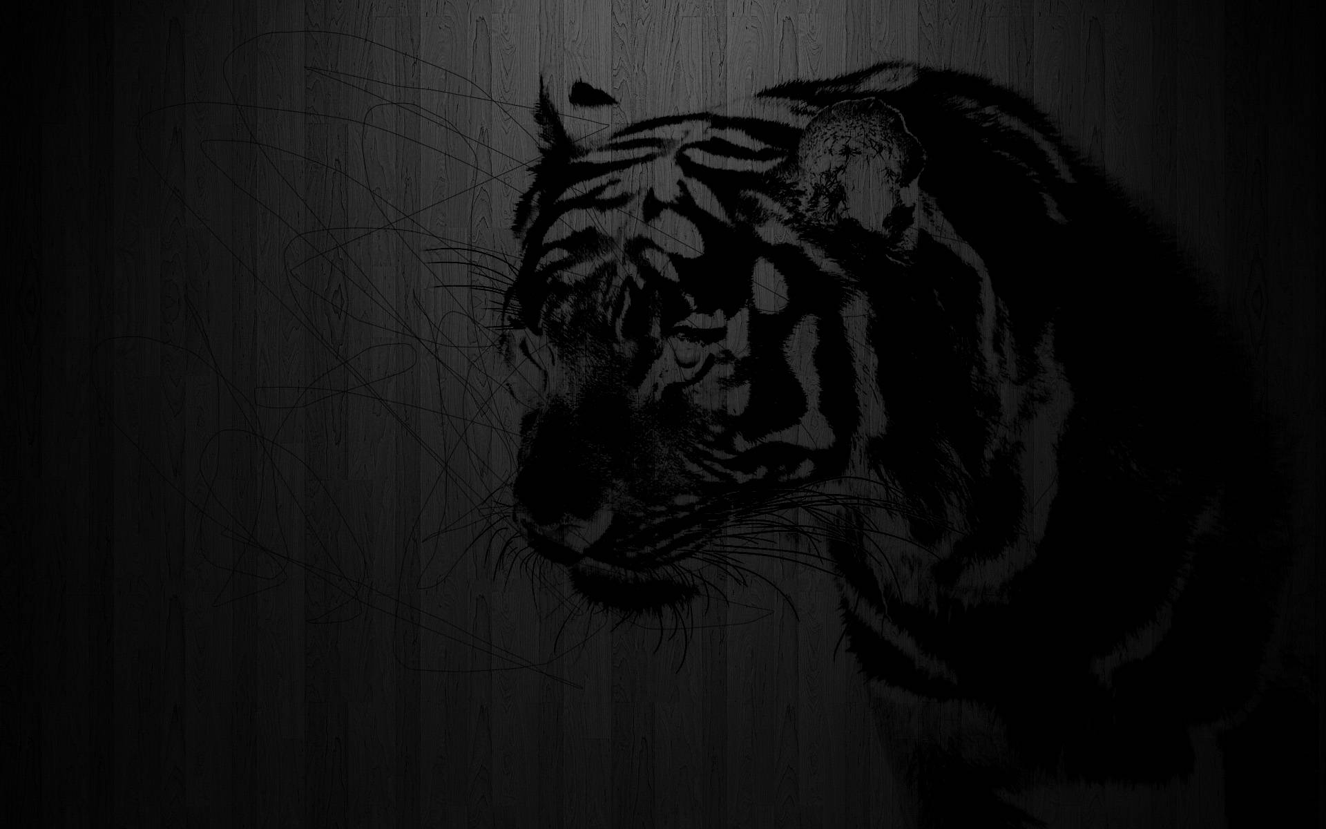 1920x1200 Black Tiger Wallpaper, Desktop