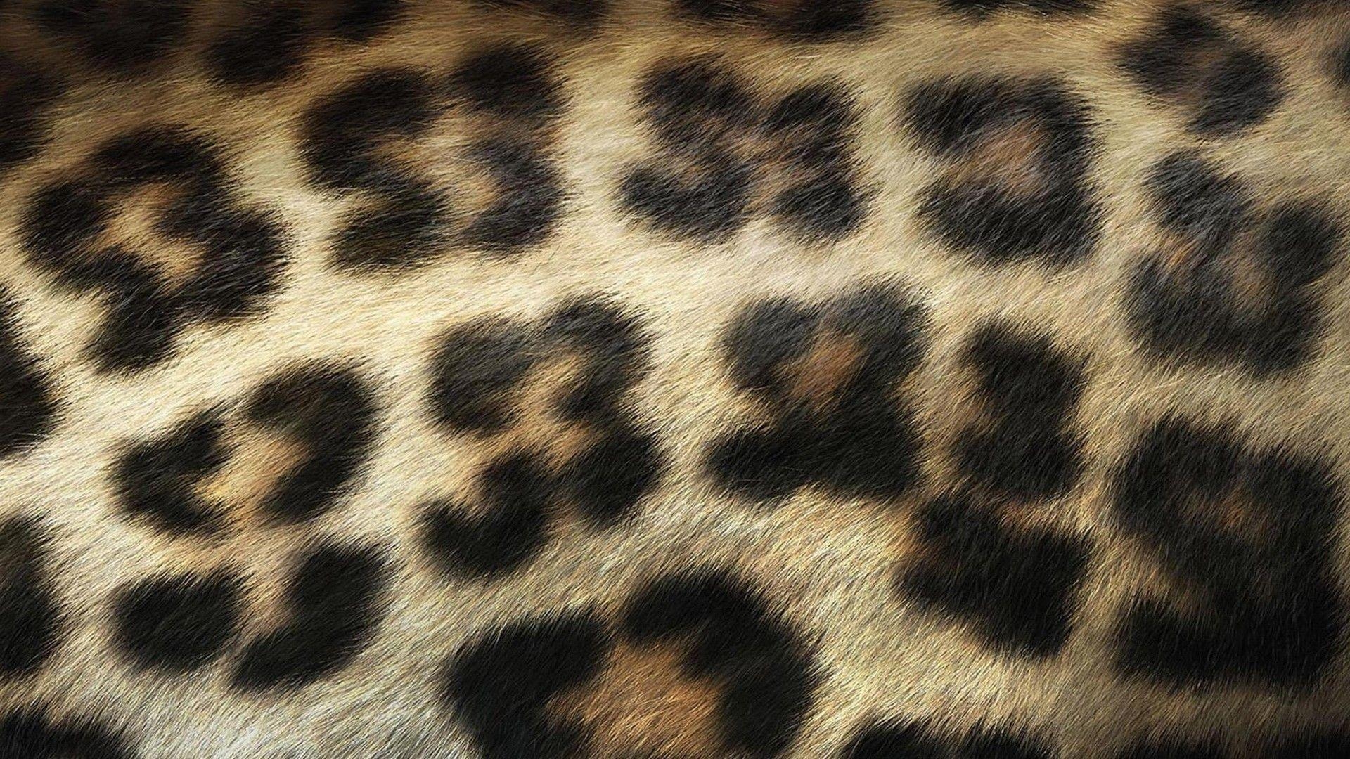 1920x1080 Leopard Print Wallpaper HD, Desktop