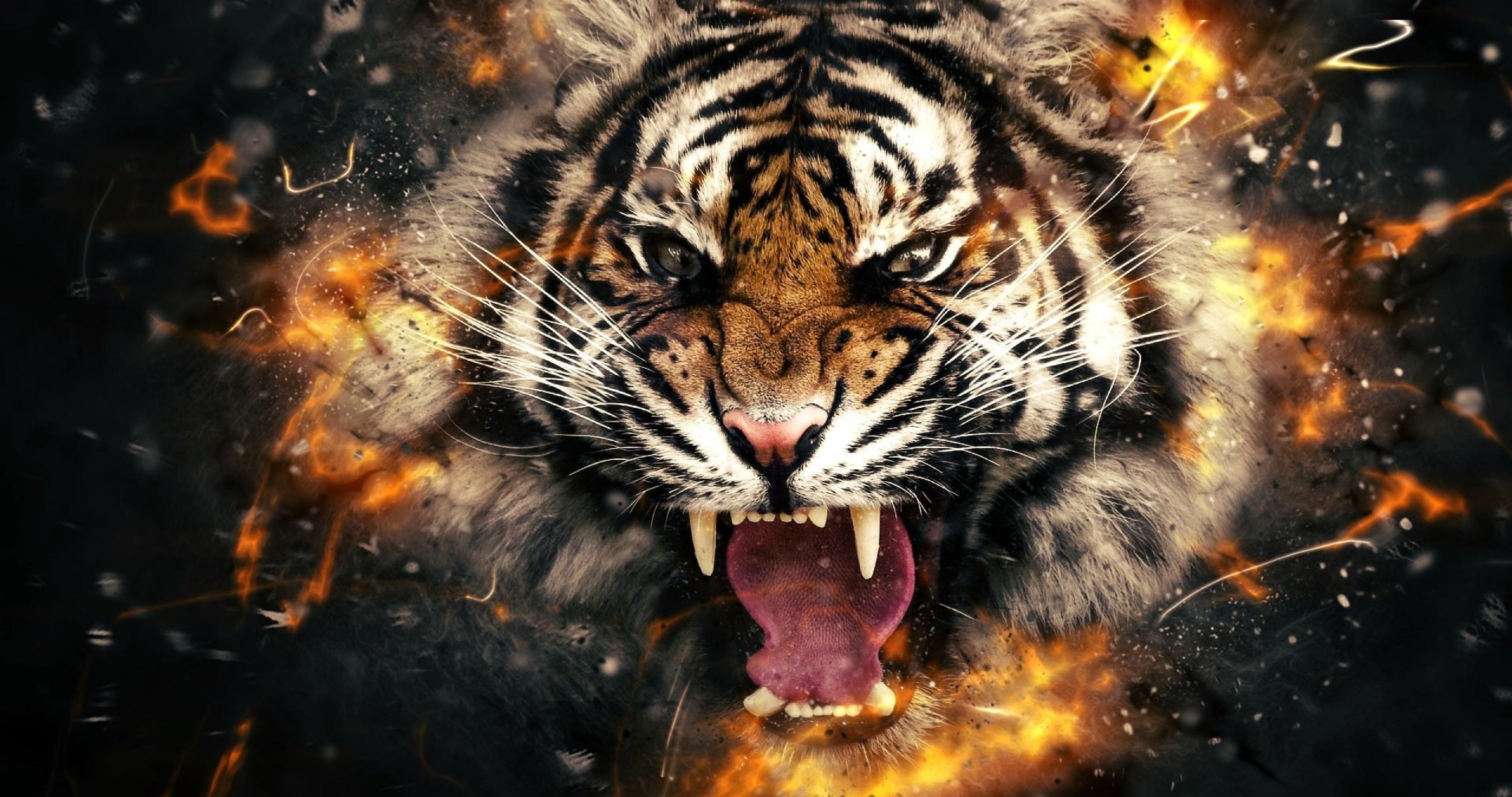 4100x2160 tiger head in fire 4k ultra HD wallpaper. ololoshenka. Tiger, Desktop