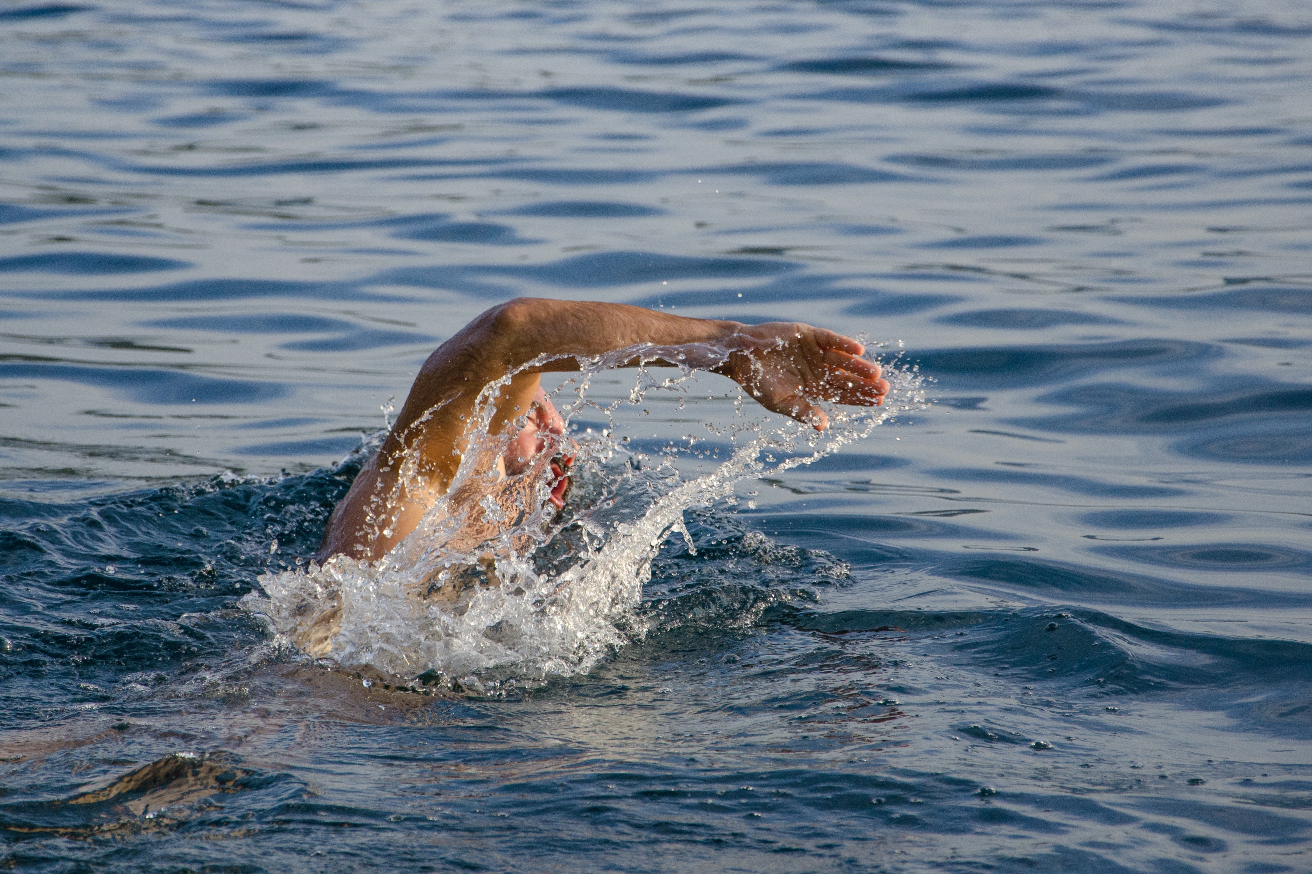 4260x2840 Swimmer Photo, Download The BEST Free Swimmer & HD Image, Desktop