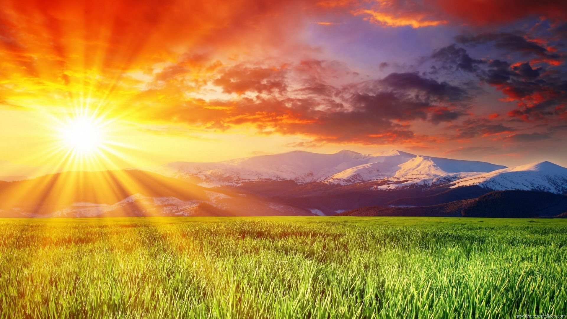 1920x1080 Meadow Sunrise Wallpaper Free Meadow Sunrise Background, Desktop