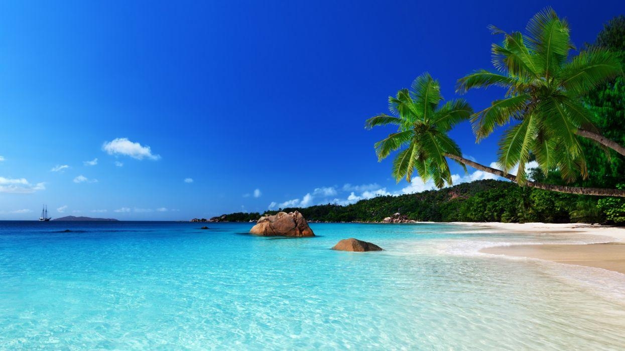 1250x700 Tropical paradise beach ocean sea palm summer coast wallpaper, Desktop