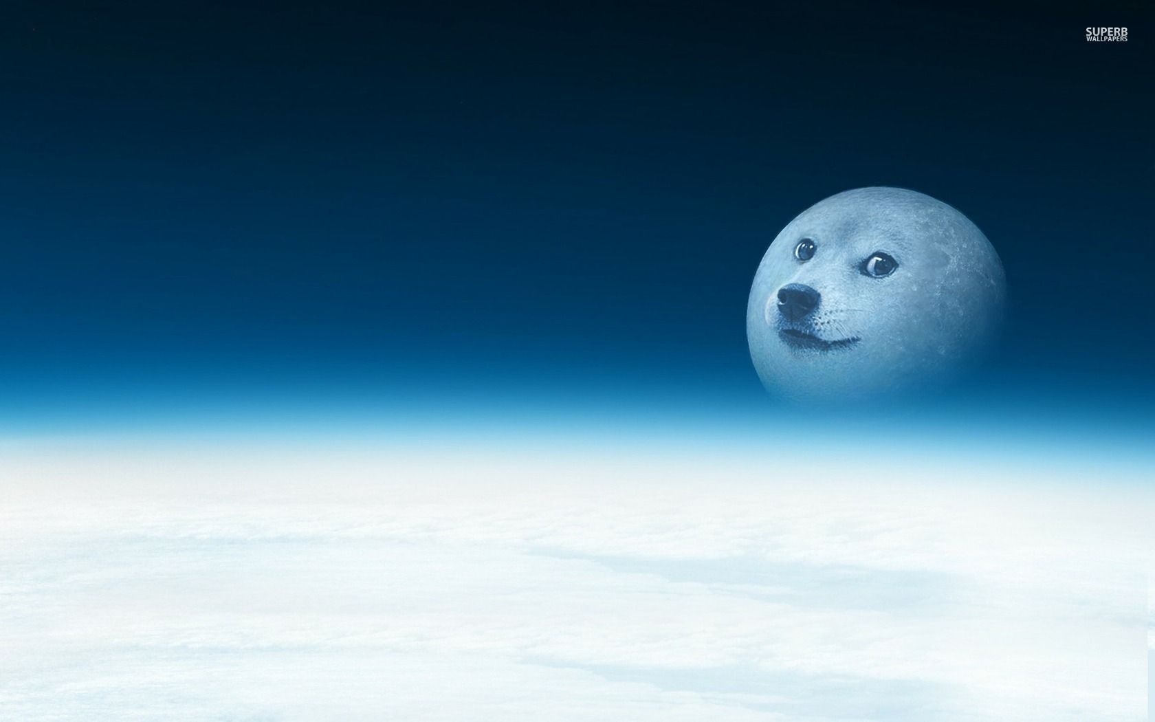 1680x1050 Doge Meme Wallpaper, Desktop