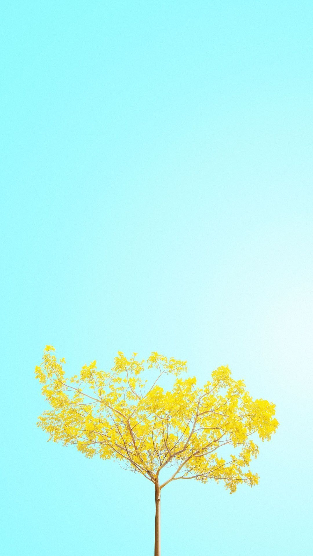 1080x1920 Beautiful Minimalist Spring Wallpaper for iPhone. Tree wallpaper iphone, iPhone wallpaper yellow, Spring wallpaper, Phone