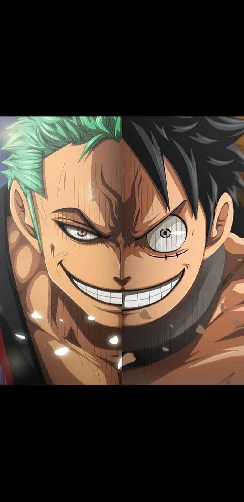 800x1650 Download Luffy Zoro Half Face Combined Art Mobile Wallpaper, Phone