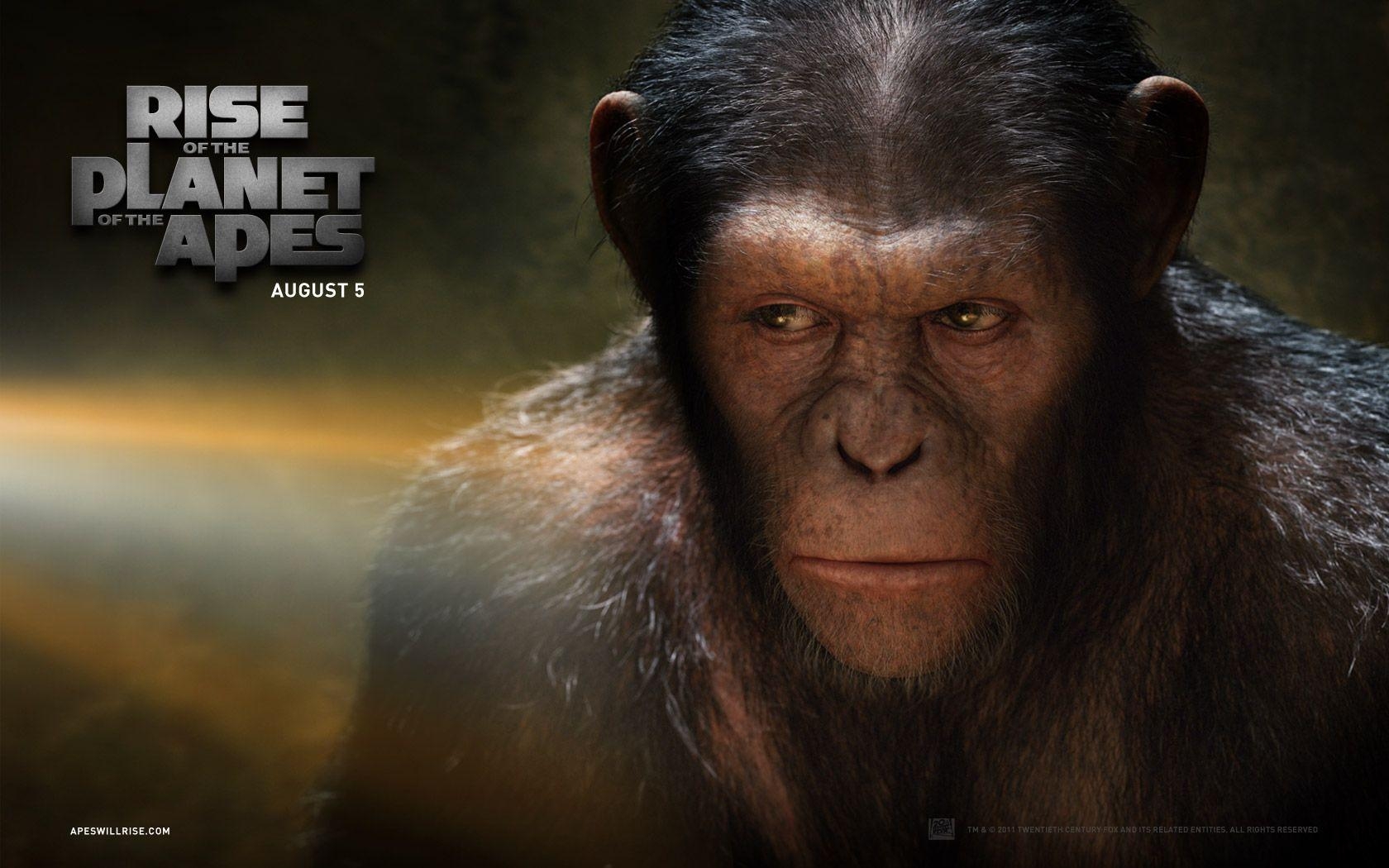 1680x1050 Rise of the Planet of the Apes: Caesar wallpaper, Desktop