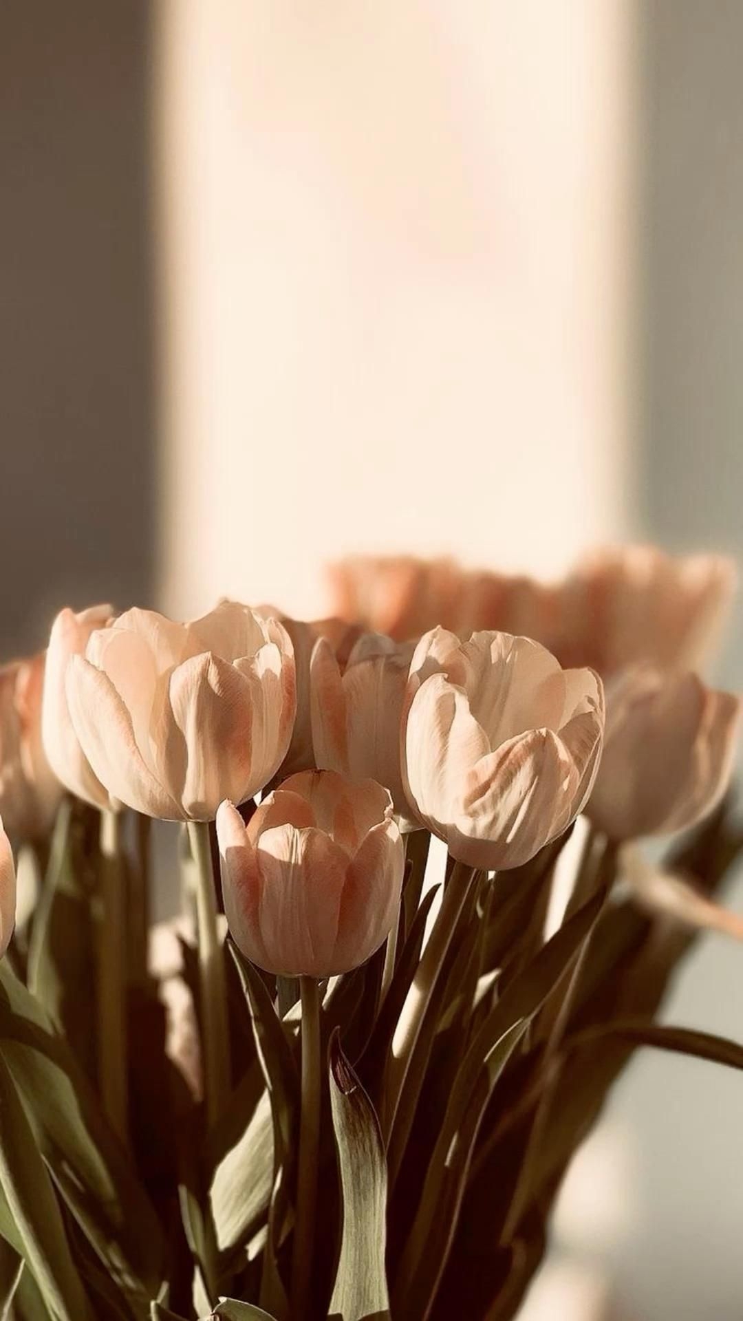 1080x1920 Ваши пины. Flower phone wallpaper, Flower aesthetic, Aesthetic iphone wallpaper, Phone