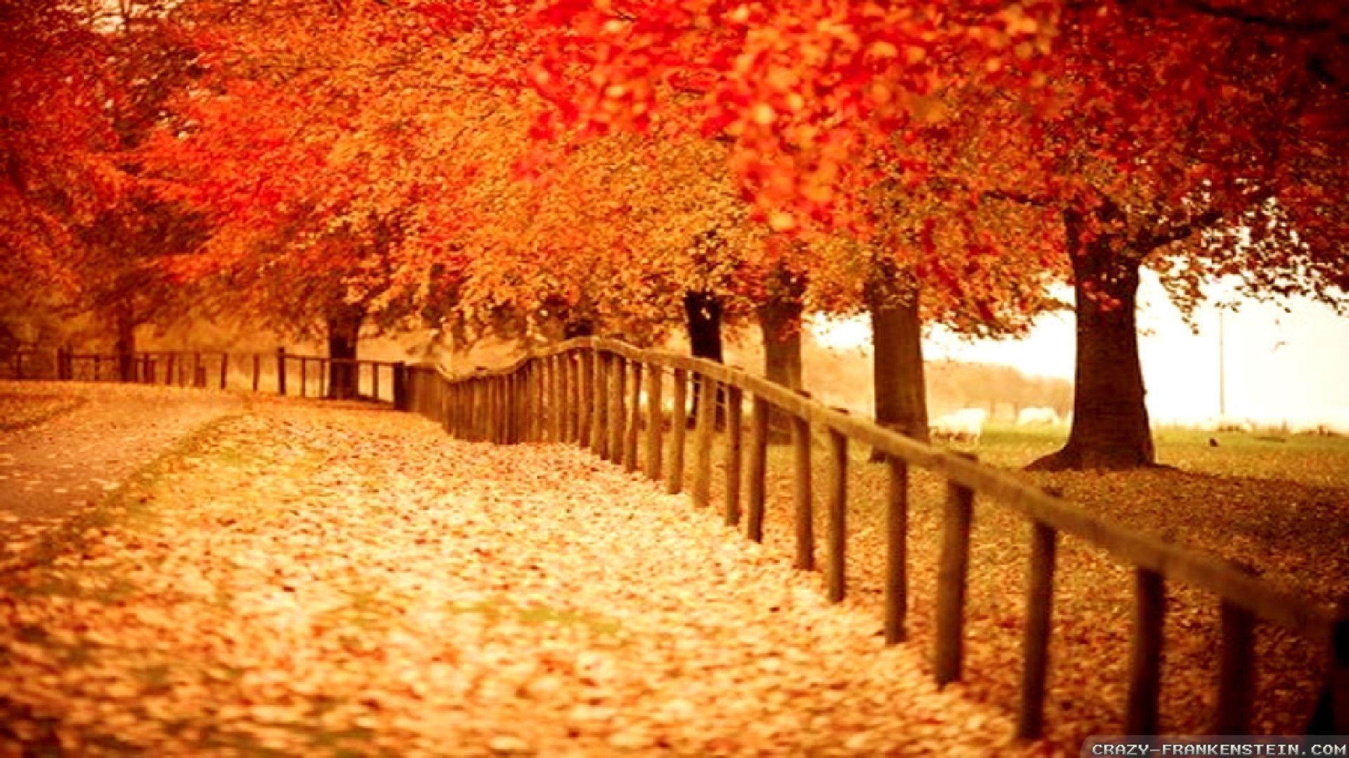 1920x1080 Beautiful Autumn Photo Free Desk HD Wallpaper. Eakai, Desktop