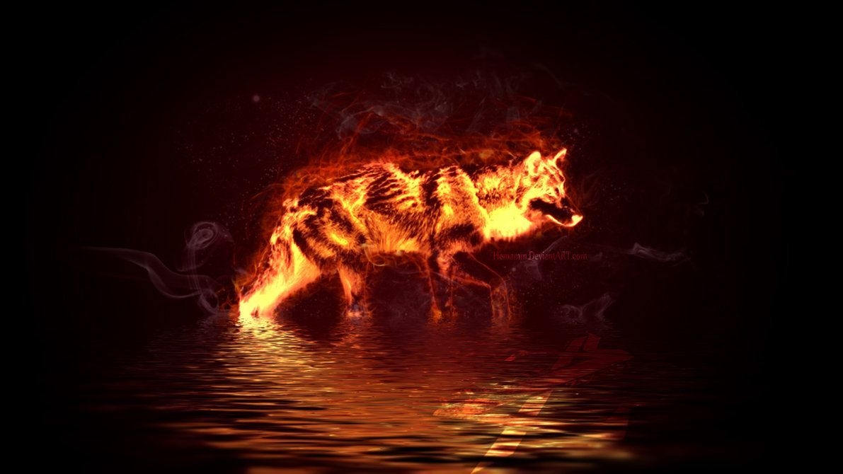 1200x670 Cool Fire Wolf Wallpaper, Desktop