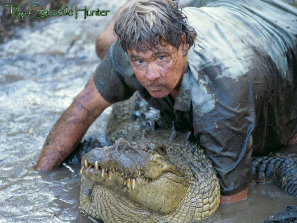 1030x770 Steve Irwin Wallpaper 9 X 768, Desktop