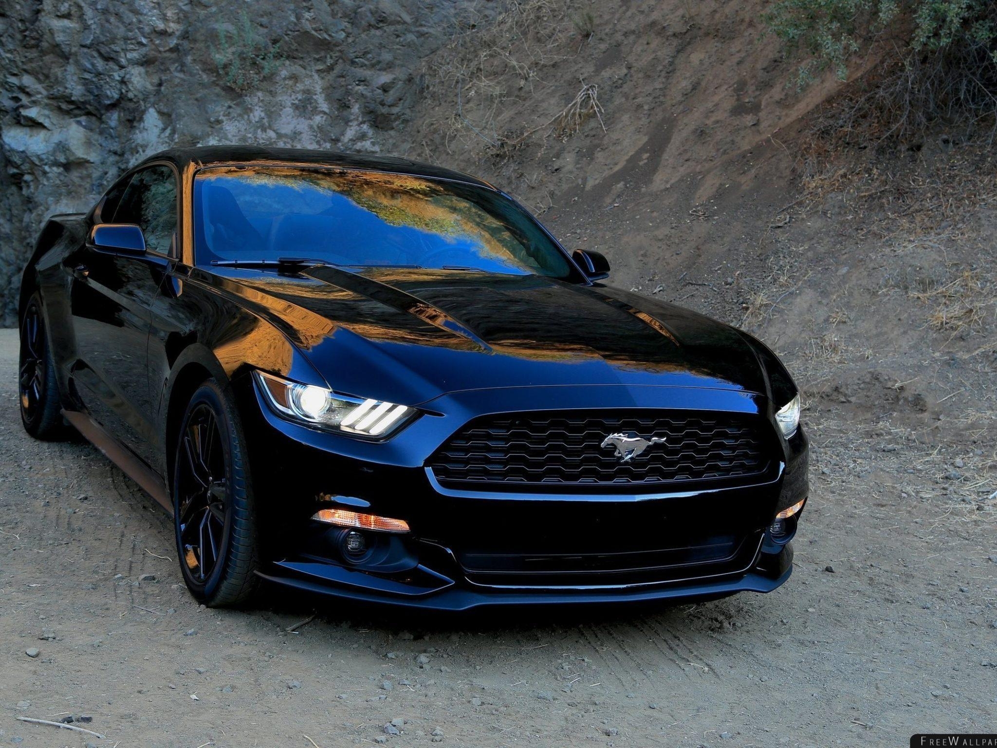 2050x1540 Ford Mustang Black Front View Sports Wallpaper Free Wallpaper Stock, Desktop