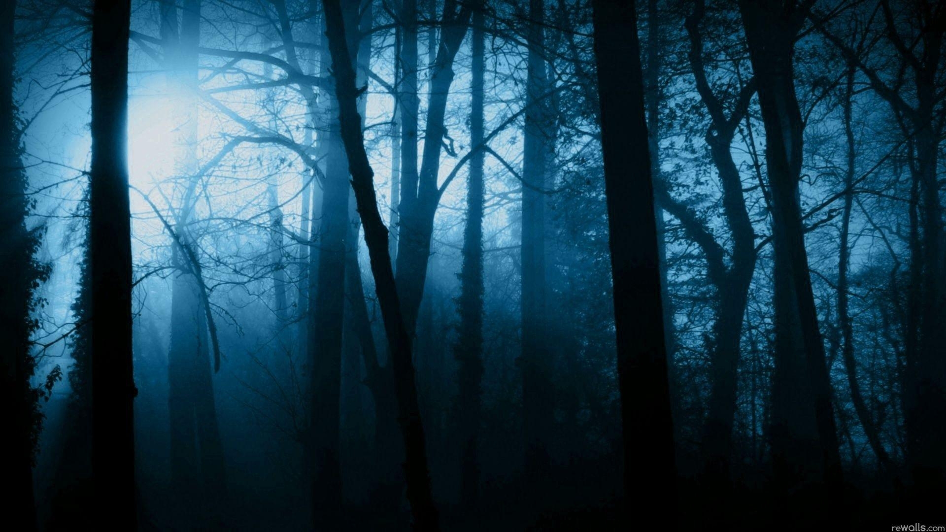 1920x1080 Scary Forest. Horror. Night forest, Forest picture, Desktop