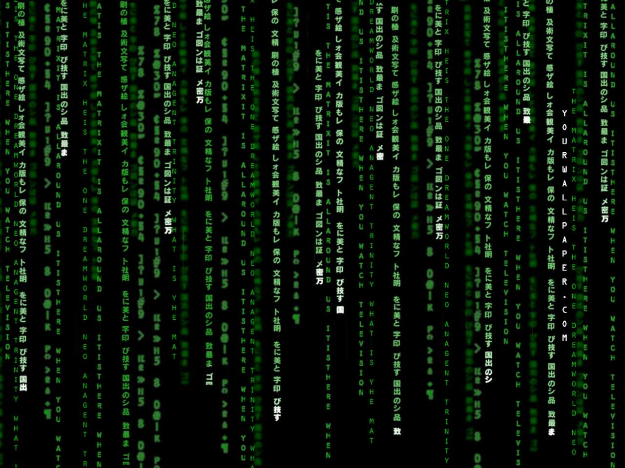 1280x960 the matrix wallpaper, Trinity, Morpheus and crew, Desktop