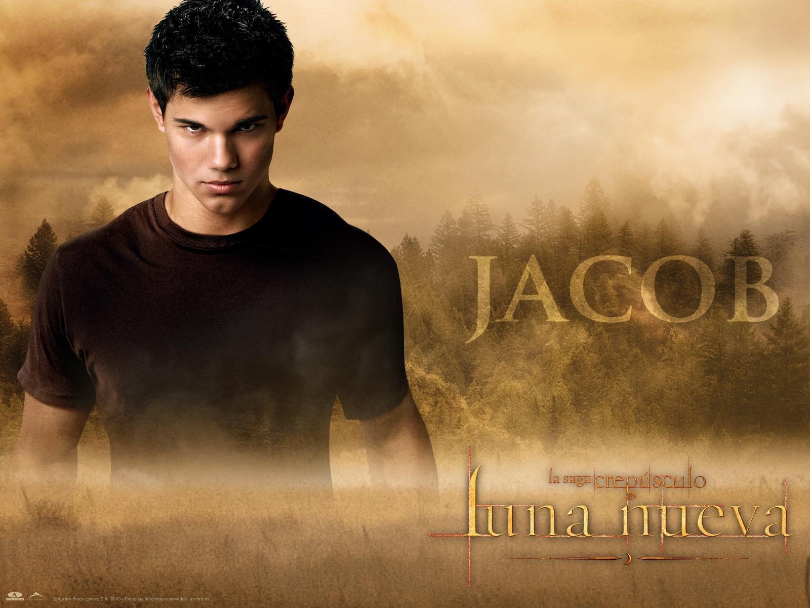 1600x1200 Taylor Lautner Wallpaper New Moon 21826, Desktop